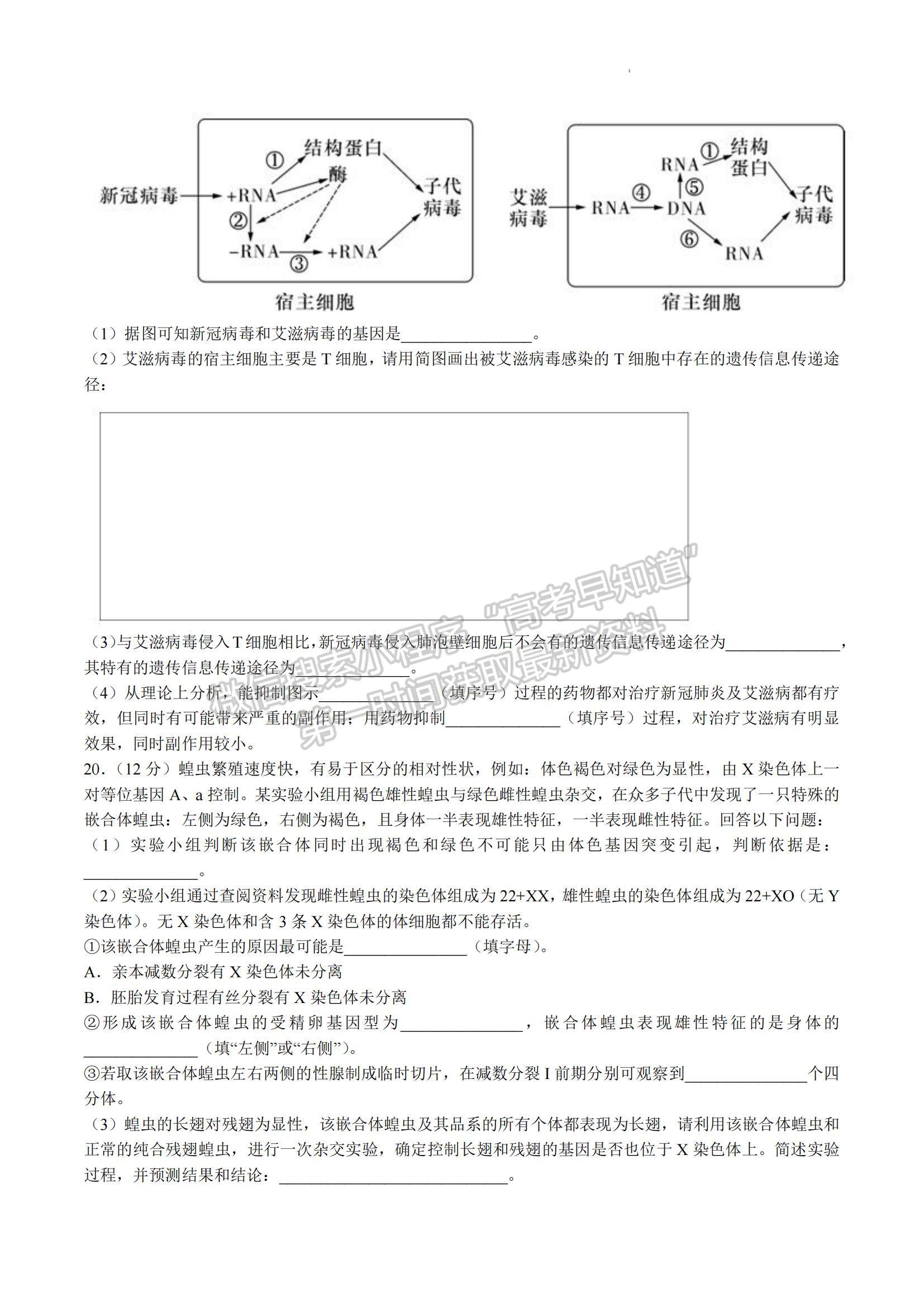 2023湖南省雅禮中學(xué)高三上學(xué)期第四次月考生物試題及參考答案