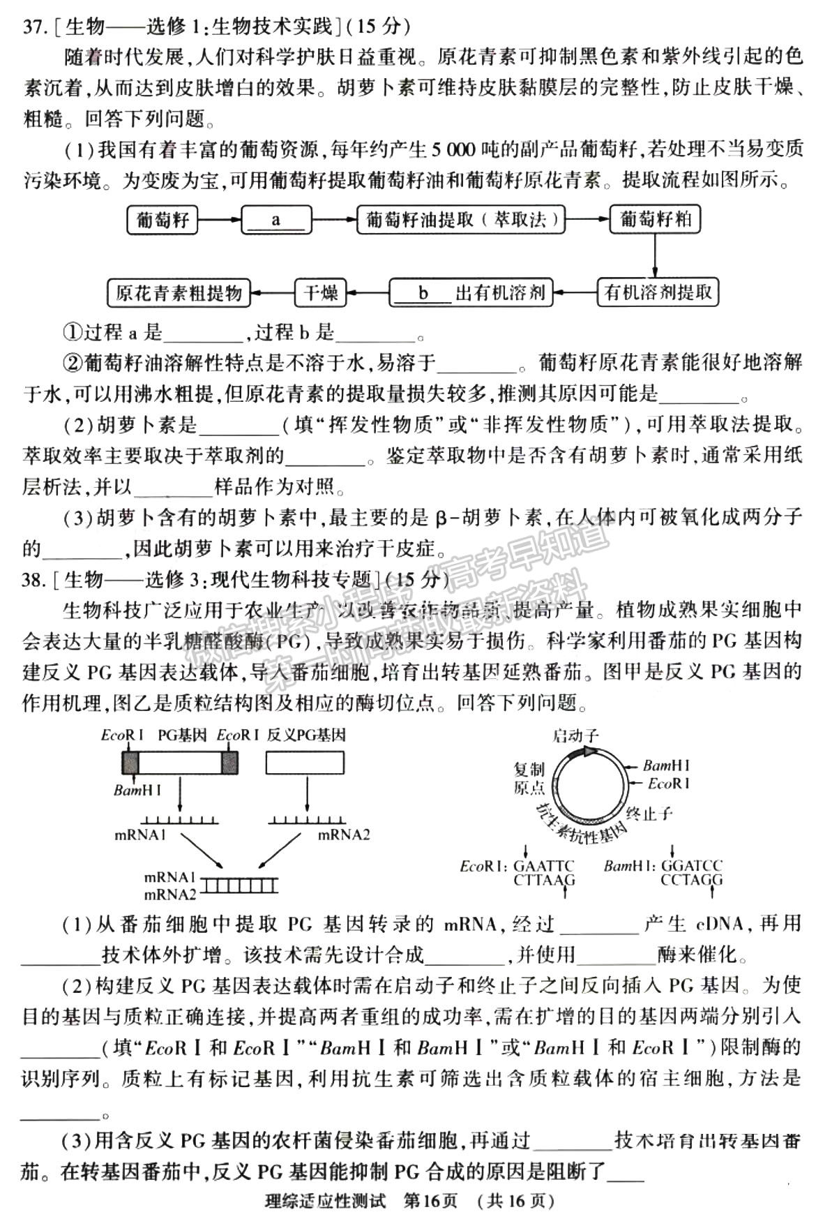 2023河南省普通高中毕业班高考适应性测试理综试题及参考答案