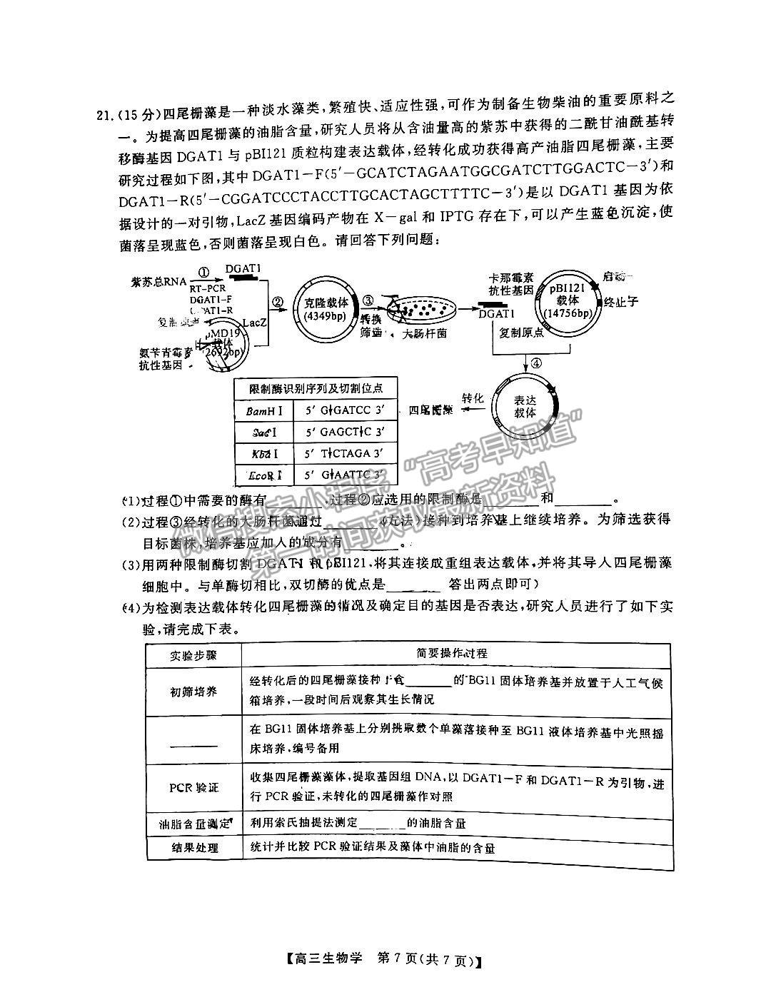 湖南五市十校教研教改共同體高三3月聯(lián)考生物試卷及參考答案