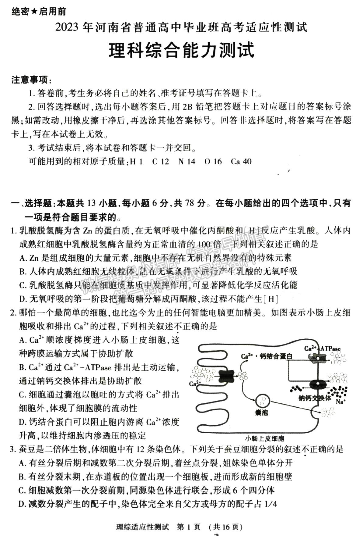 2023河南省普通高中毕业班高考适应性测试理综试题及参考答案