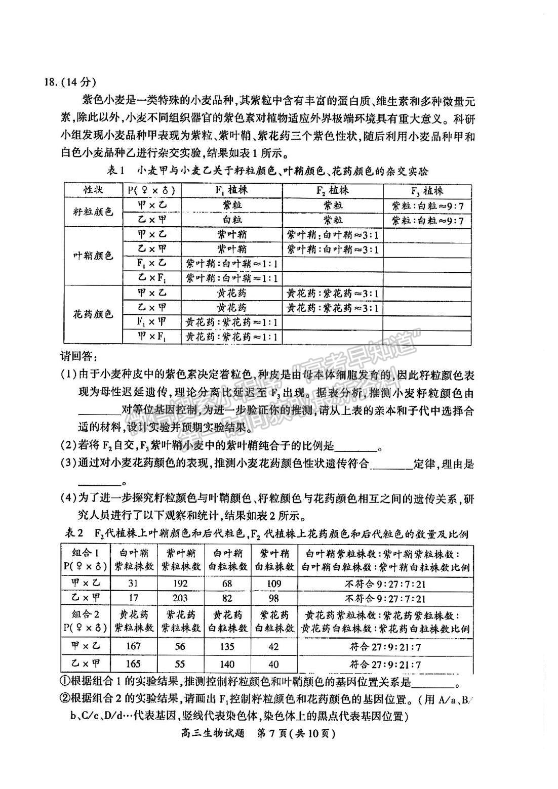 2023廈門二檢生物試題及參考答案