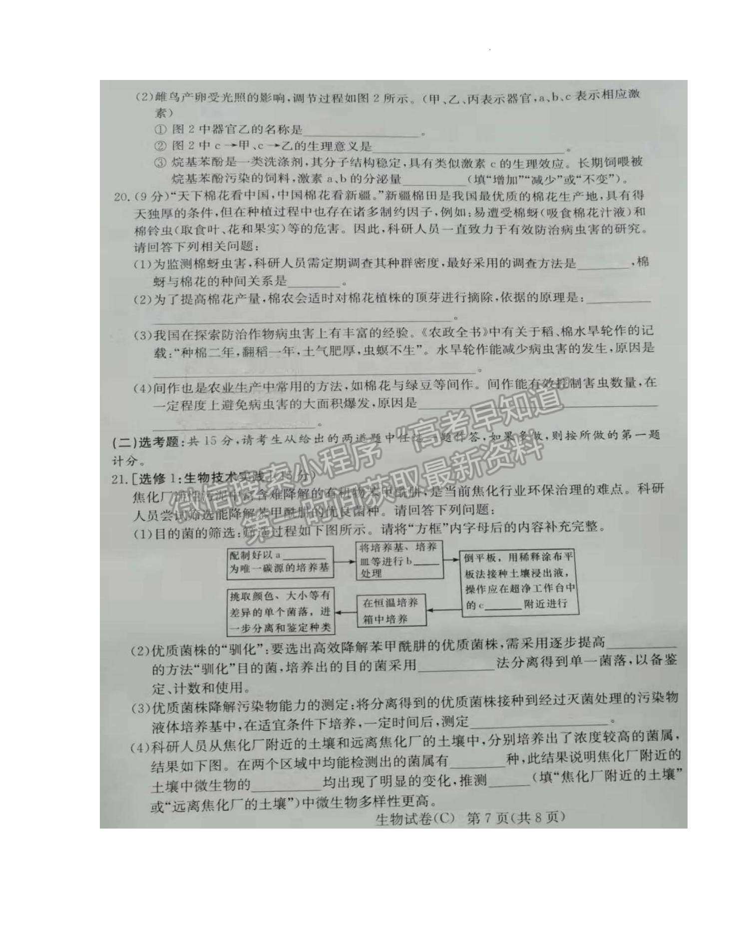 2022屆湖南新高考教學教研聯(lián)盟高三第一次(長郡十八校）聯(lián)考生物試卷及參考答案