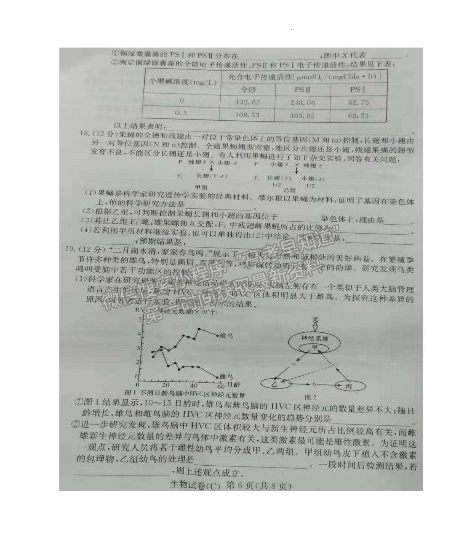 2022屆湖南新高考教學教研聯(lián)盟高三第一次(長郡十八校）聯(lián)考生物試卷及參考答案