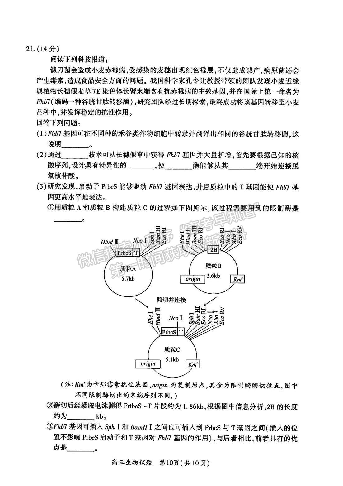 2023廈門(mén)二檢生物試題及參考答案