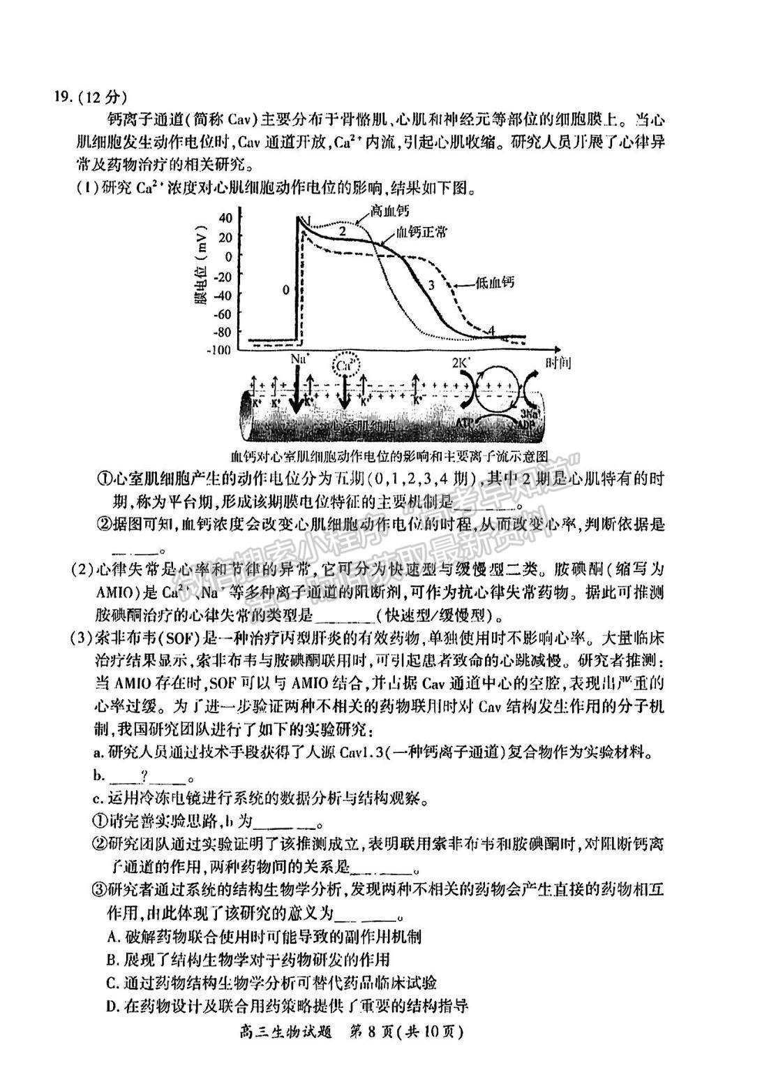 2023廈門二檢生物試題及參考答案