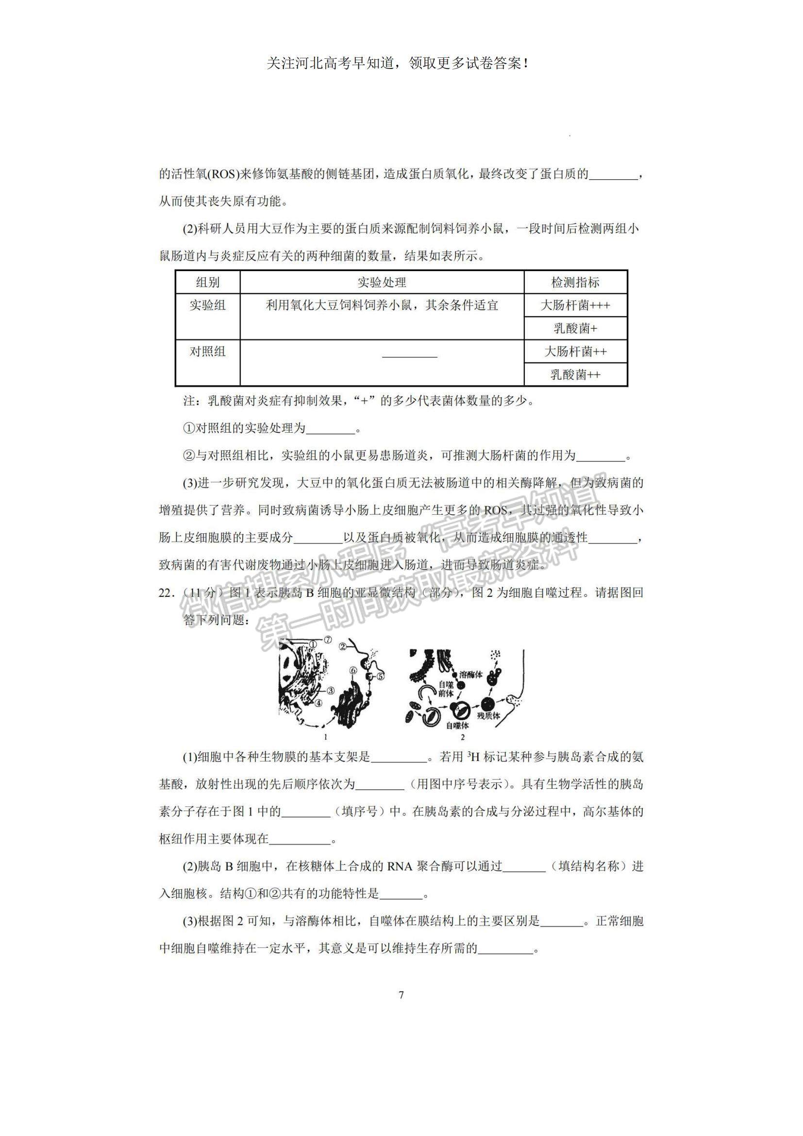 2023河北衡水中學(xué)高三上學(xué)期一調(diào)考試生物試題及參考答案