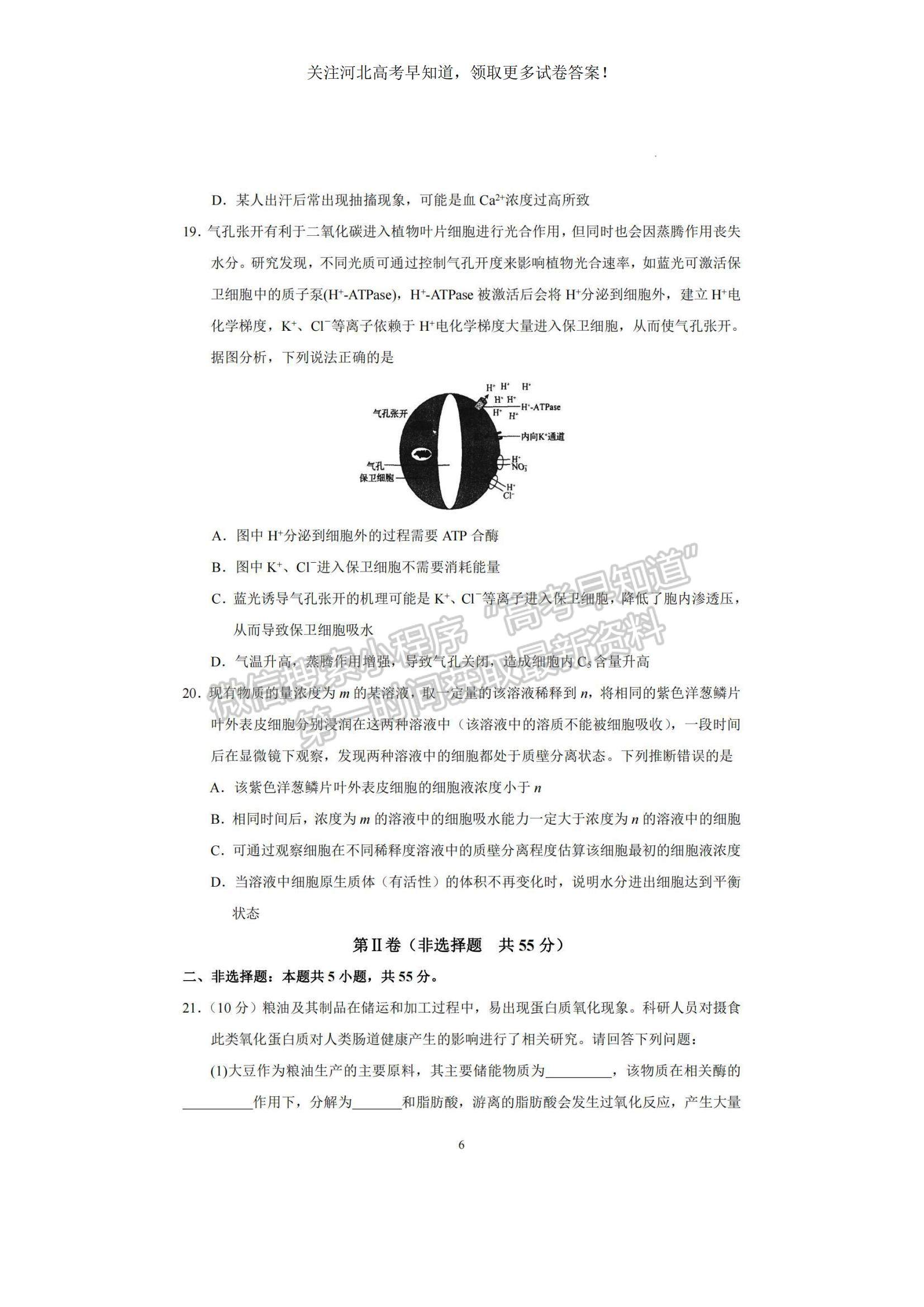 2023河北衡水中學(xué)高三上學(xué)期一調(diào)考試生物試題及參考答案