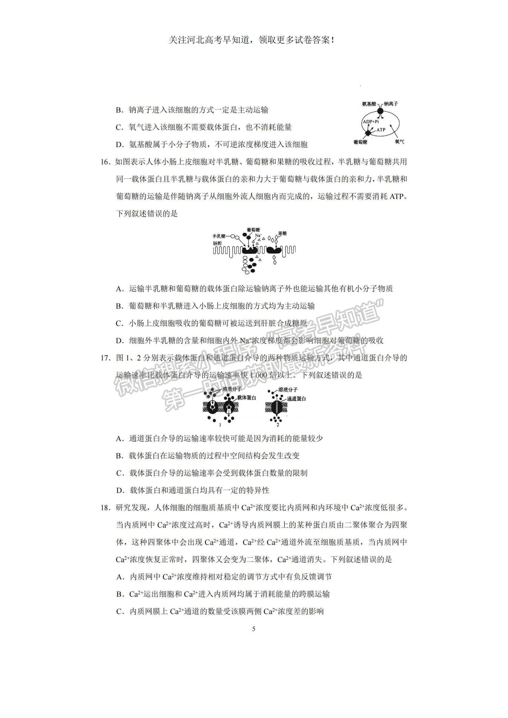 2023河北衡水中學(xué)高三上學(xué)期一調(diào)考試生物試題及參考答案