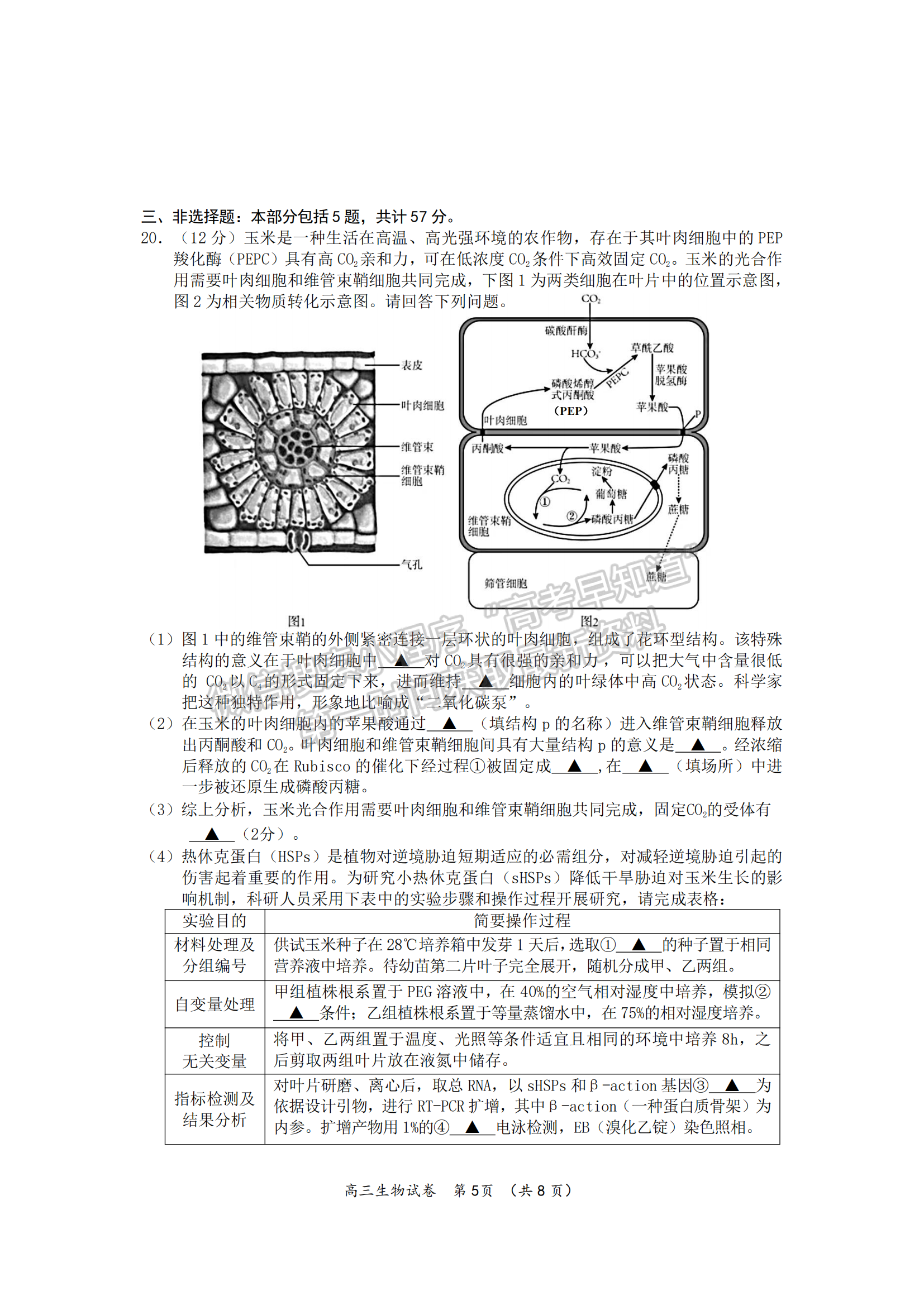 2023江蘇省新高考基地學(xué)校高三3月聯(lián)考生物試題及參考答案