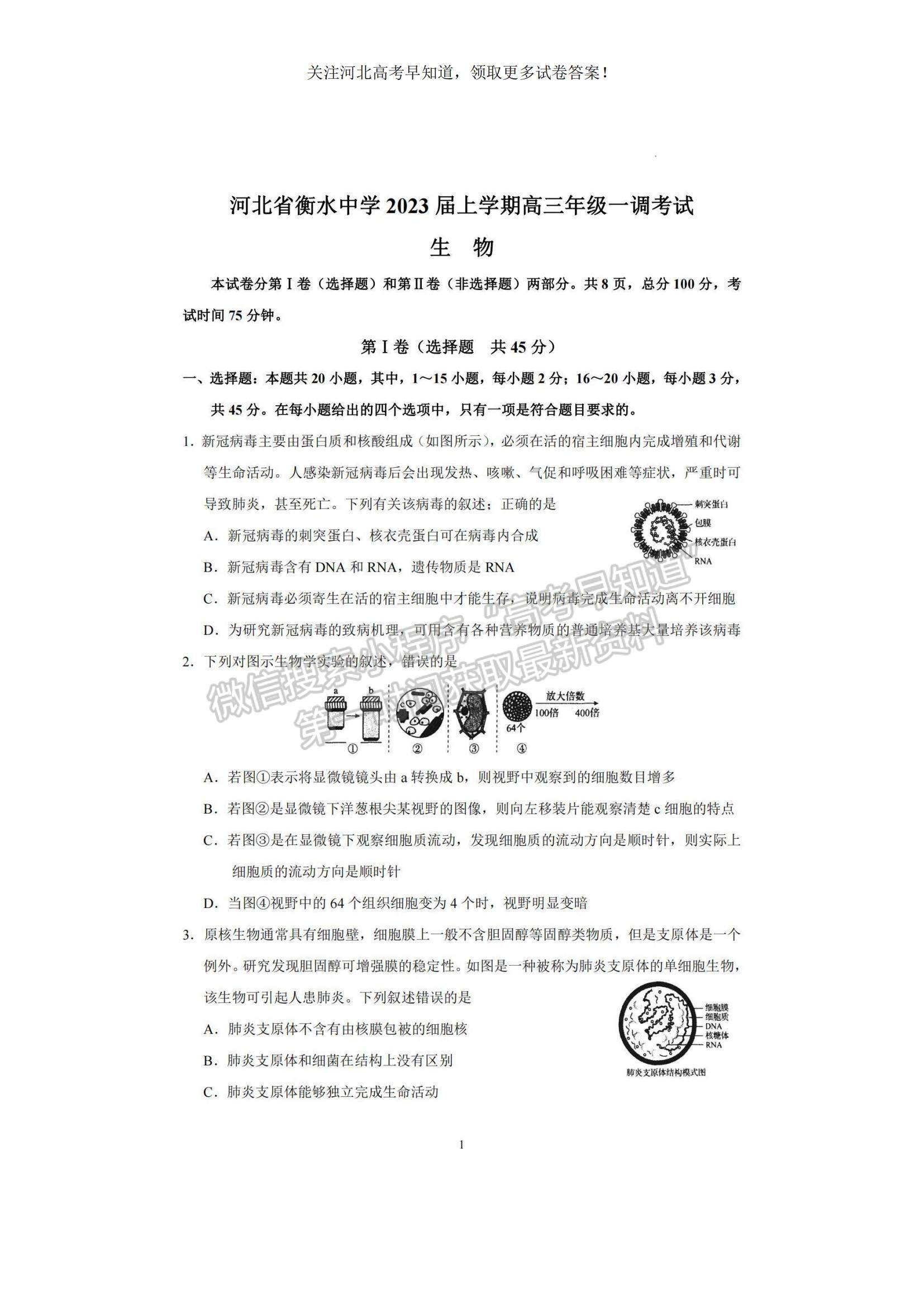 2023河北衡水中學(xué)高三上學(xué)期一調(diào)考試生物試題及參考答案