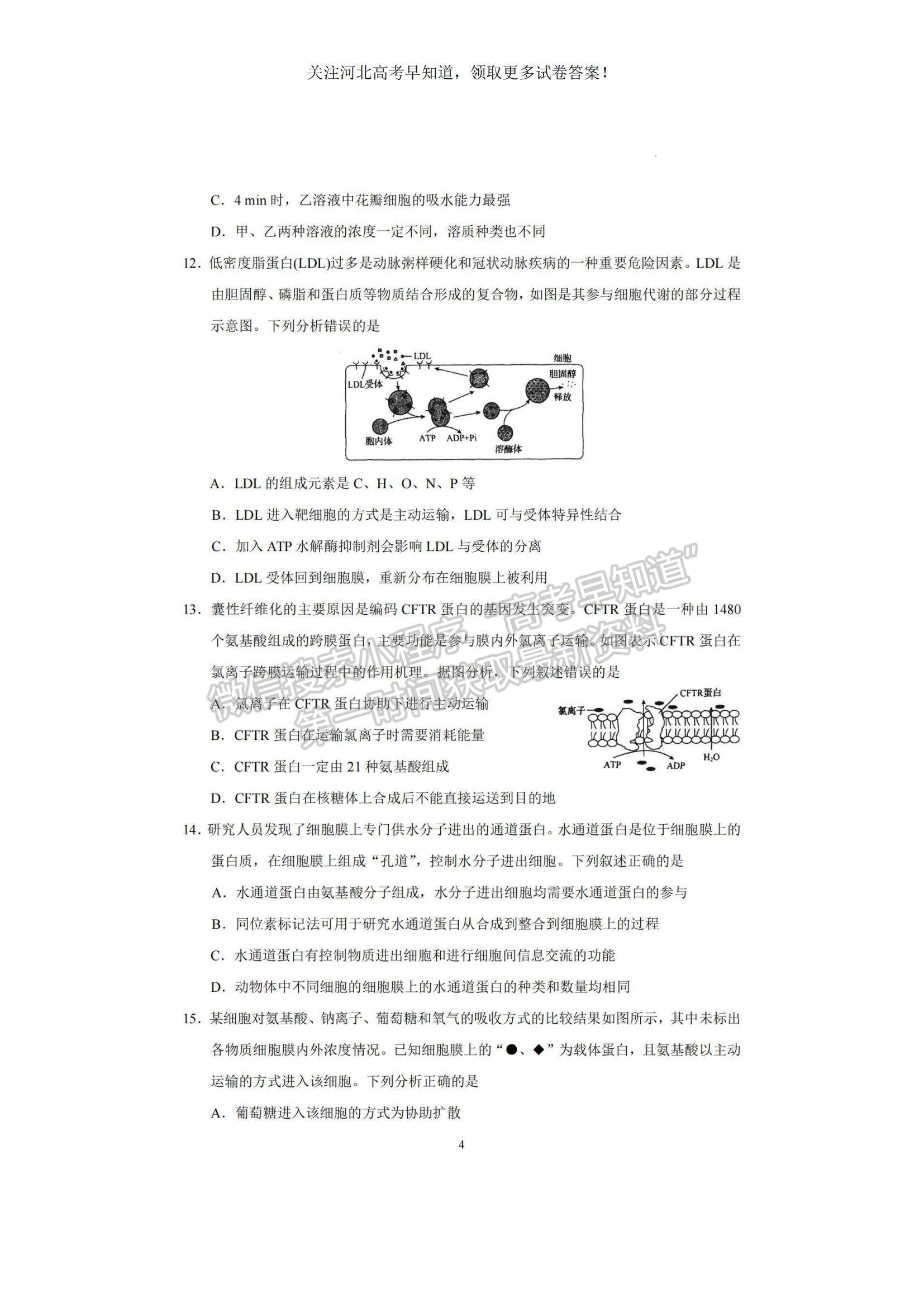 2023河北衡水中學(xué)高三上學(xué)期一調(diào)考試生物試題及參考答案