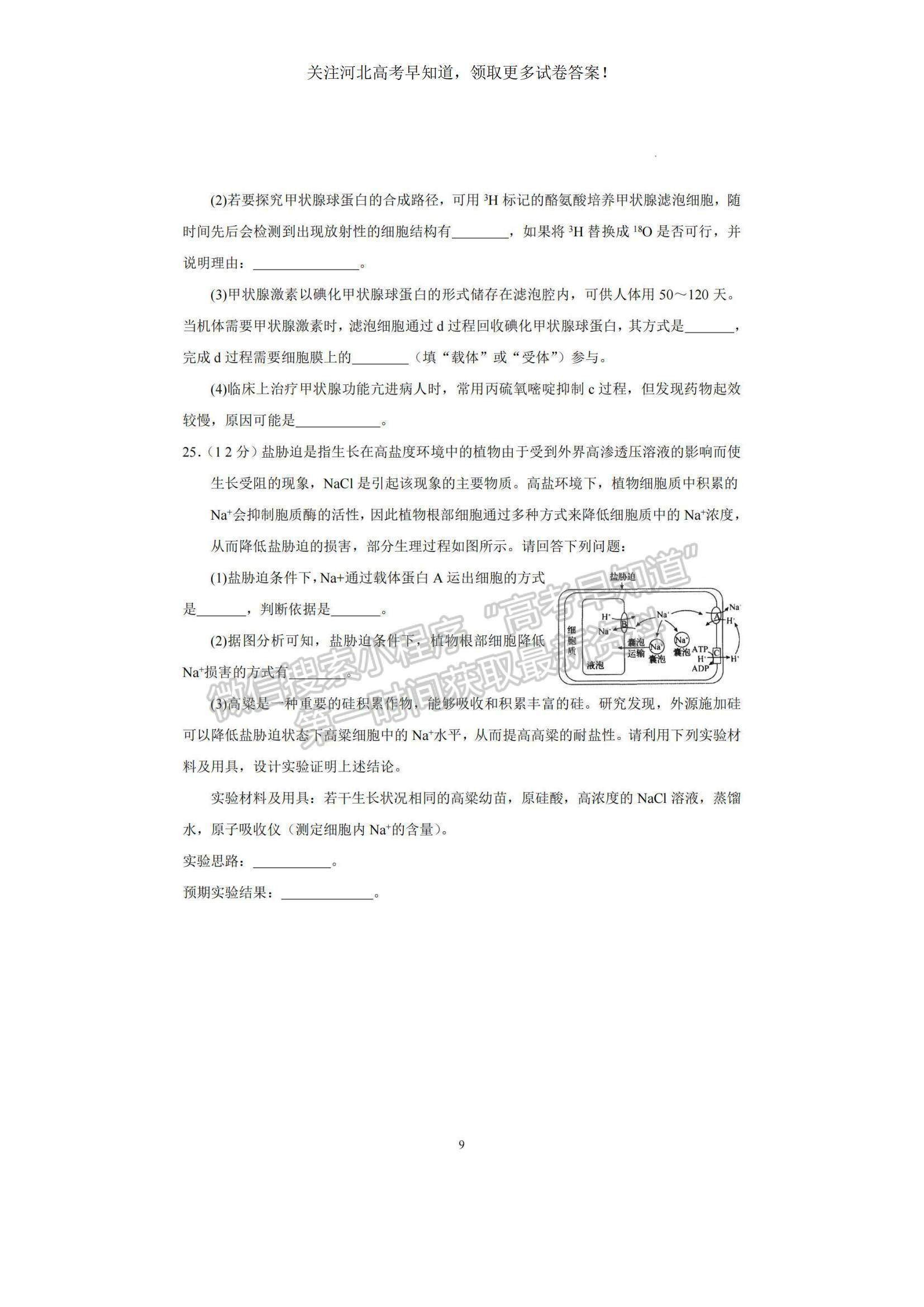 2023河北衡水中學(xué)高三上學(xué)期一調(diào)考試生物試題及參考答案