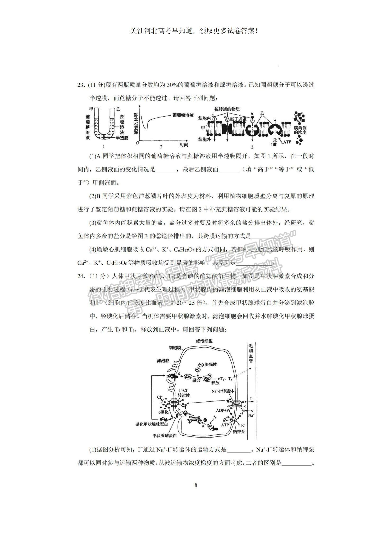 2023河北衡水中學(xué)高三上學(xué)期一調(diào)考試生物試題及參考答案