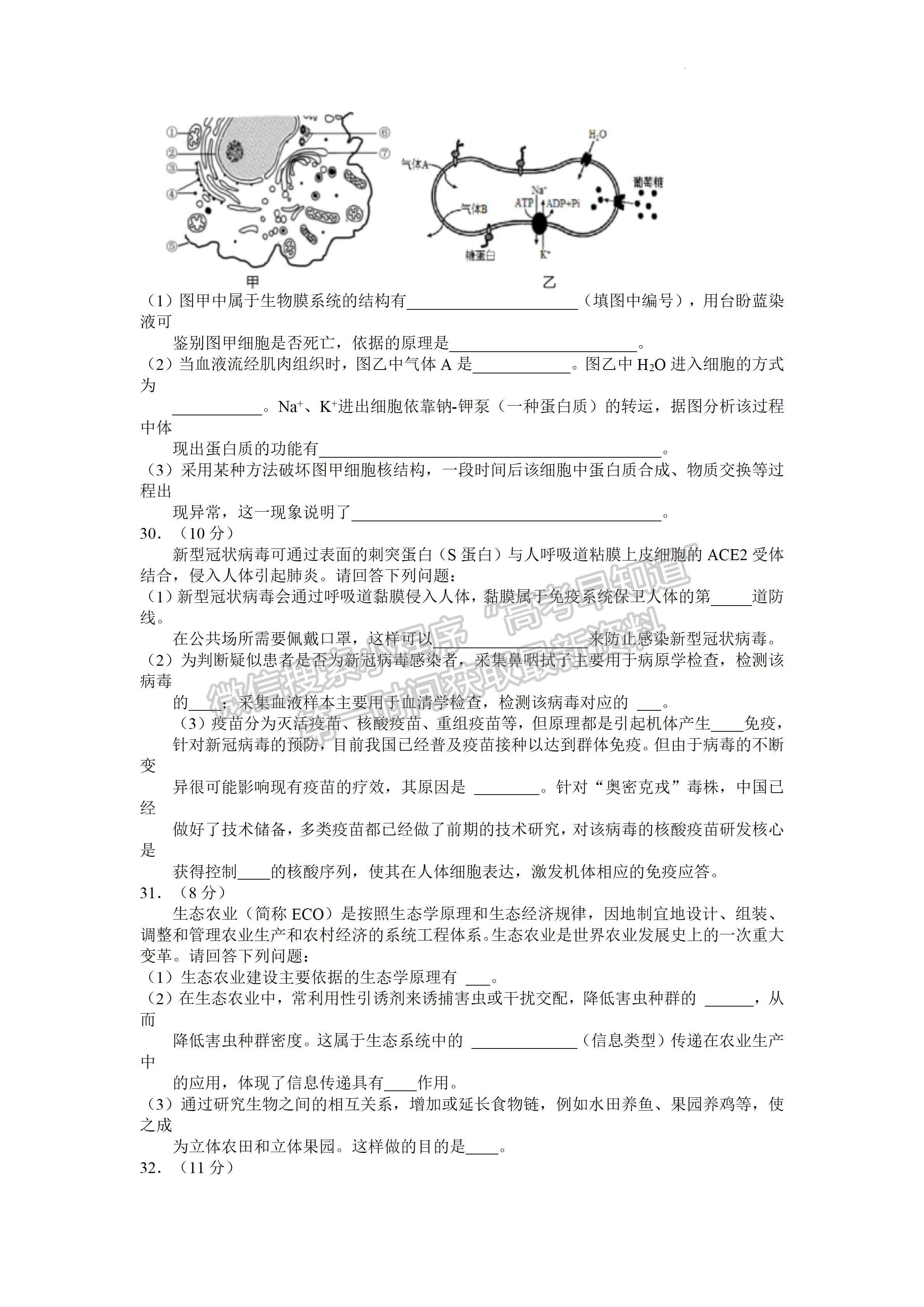 2022四川省宜賓市普通高中2019級(jí)第二次診斷性測(cè)試?yán)砜凭C合試題答案