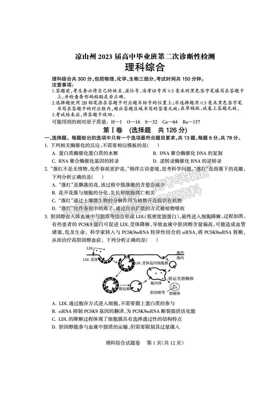 2023四川涼山州高中畢業(yè)班第二次診斷性檢測理科綜合試題及答案