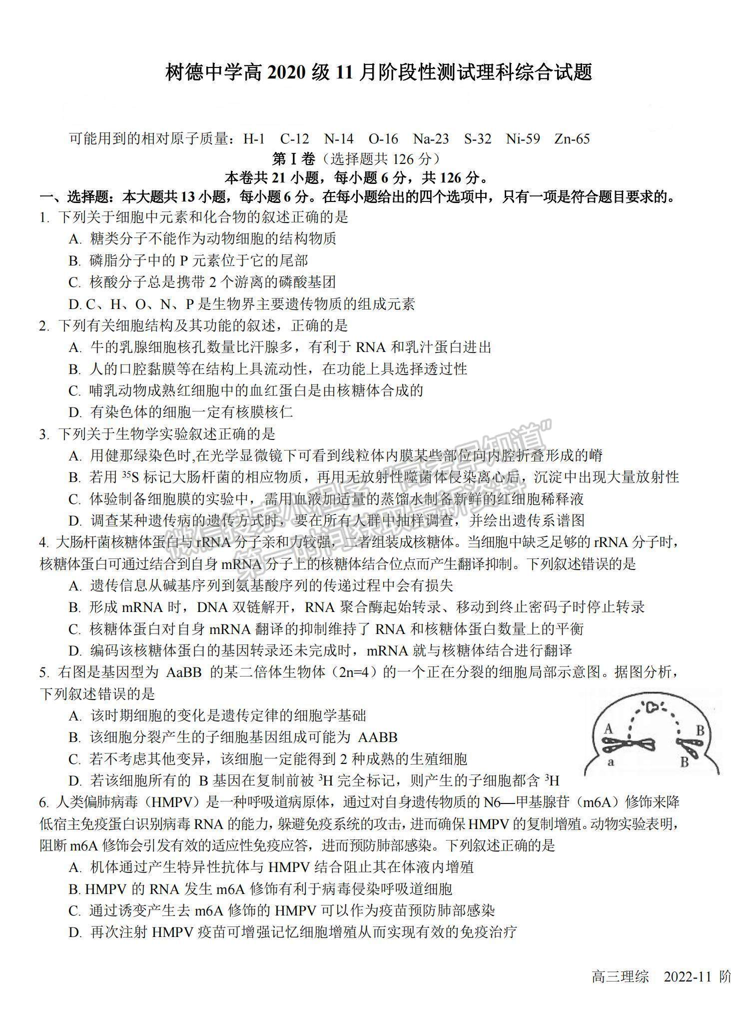 2023四川省樹(shù)德中學(xué)高三上學(xué)期11月階段性測(cè)試?yán)砭C試題及參考答案