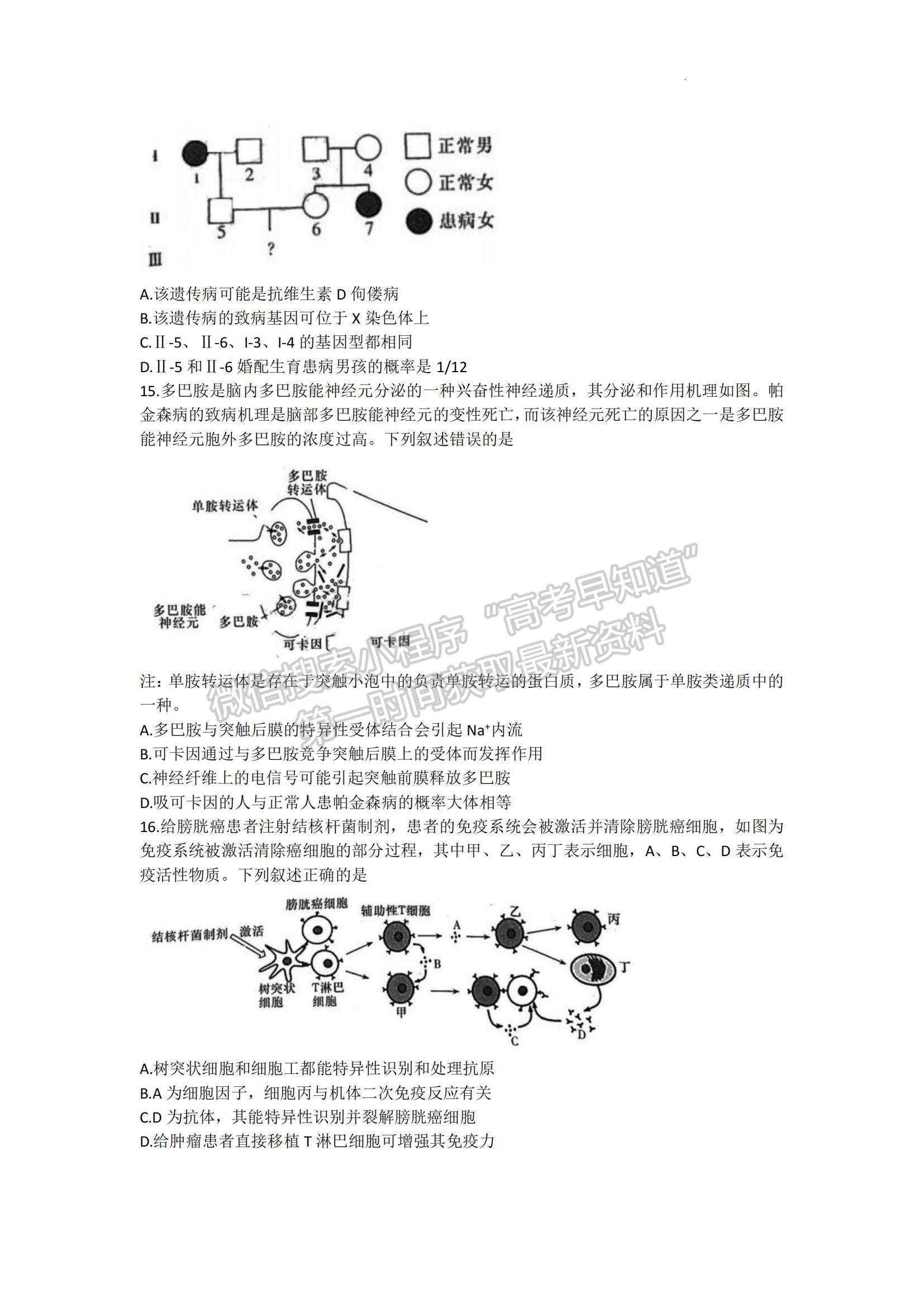 2023湖南省長沙市雅禮中學(xué)高三上學(xué)期月考卷（三）生物試題及參考答案