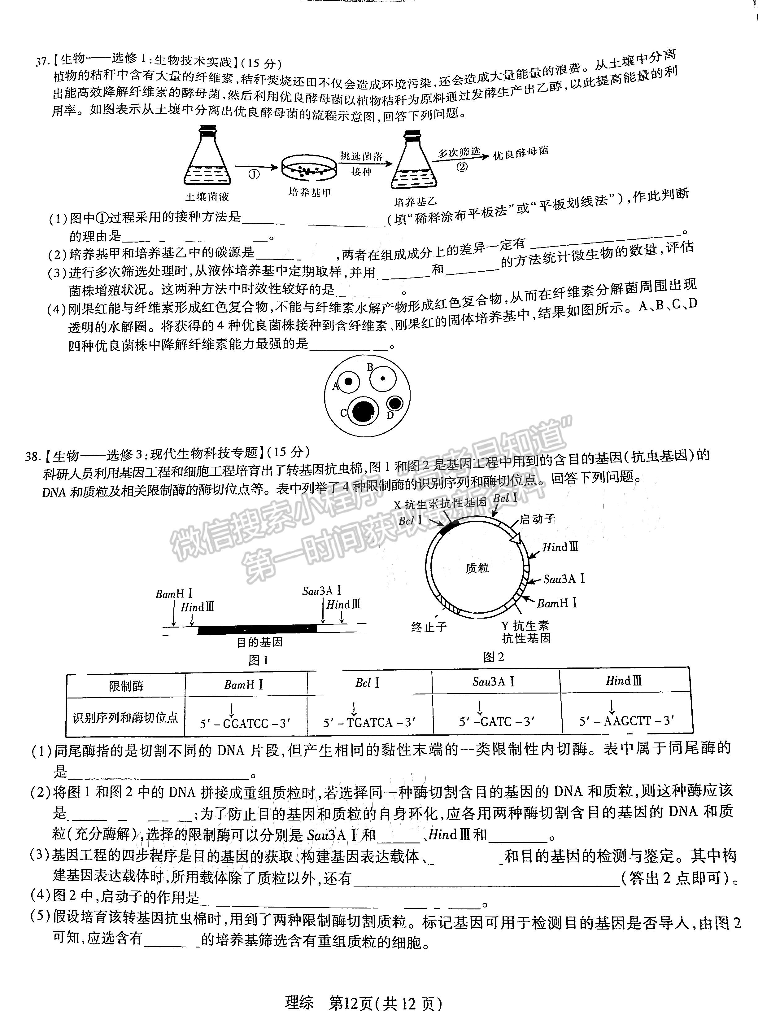 2023江西穩(wěn)派高三3月大聯(lián)考理綜