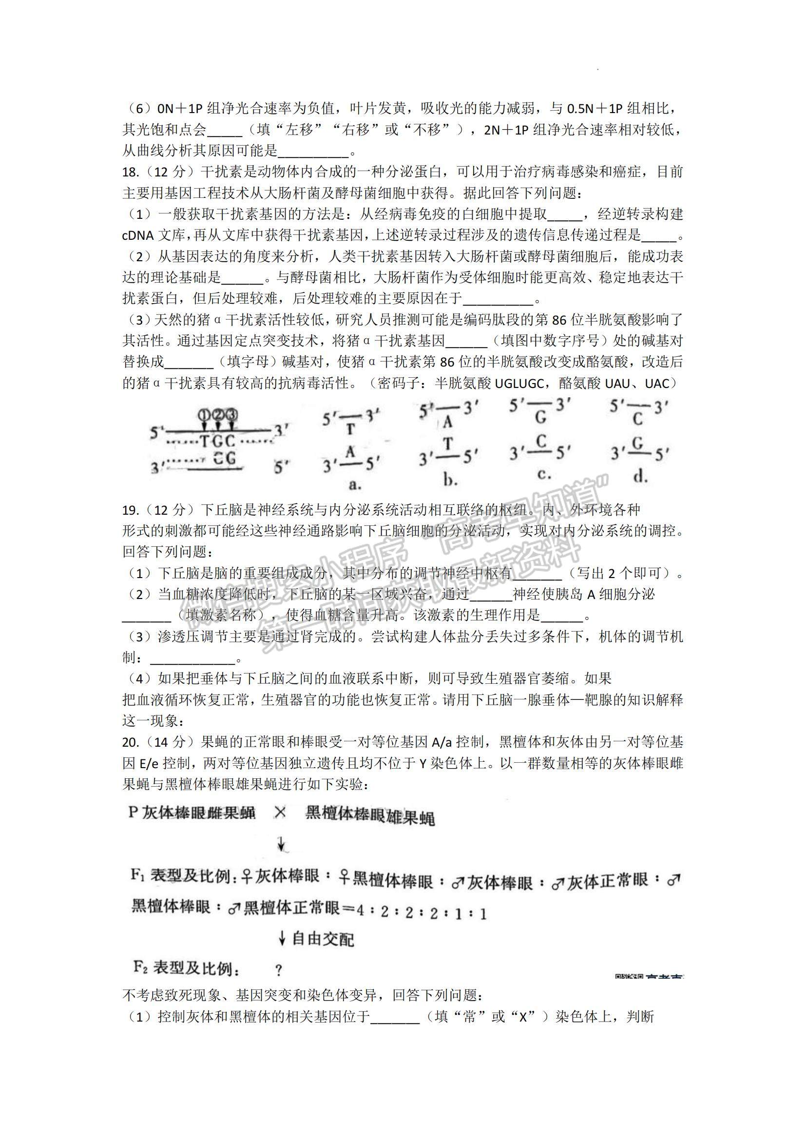 2023湖南省長(zhǎng)沙市雅禮中學(xué)高三上學(xué)期月考卷（三）生物試題及參考答案