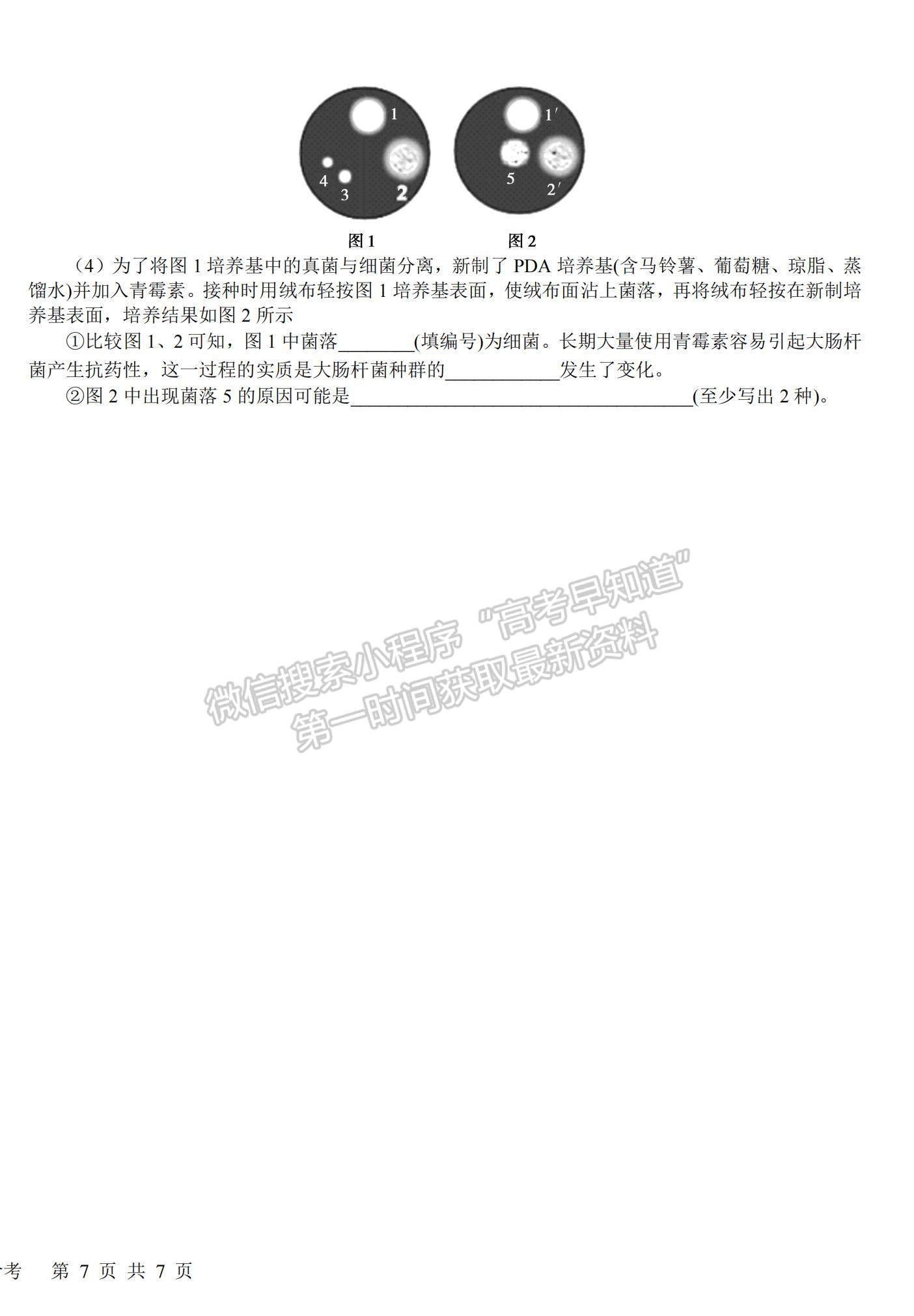 2023四川省樹德中學高三上學期11月階段性測試理綜試題及參考答案