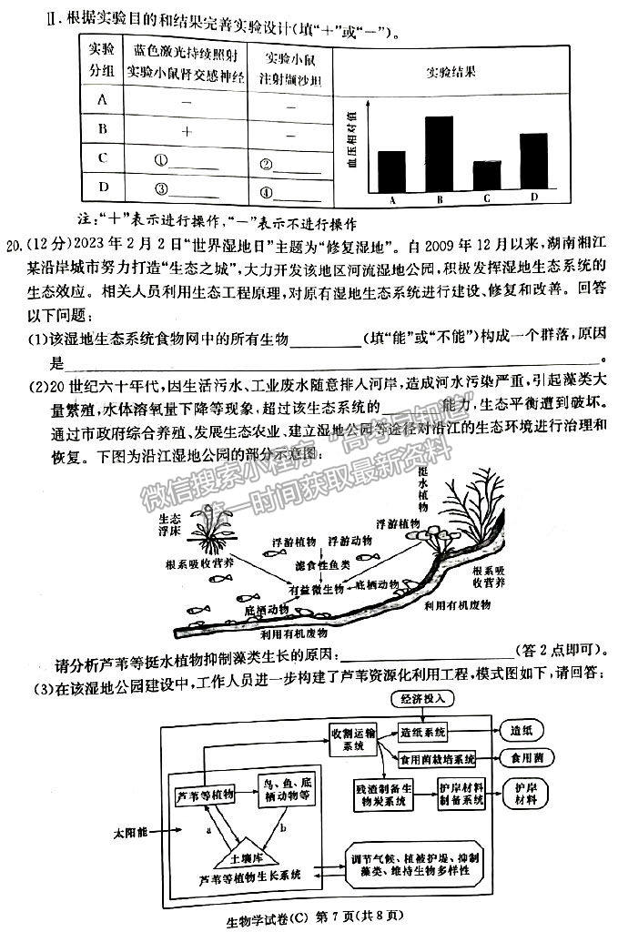 2023年湖南新高考教學(xué)教研聯(lián)盟（暨長郡18校聯(lián)盟）高三第一次聯(lián)考生物試卷及答案