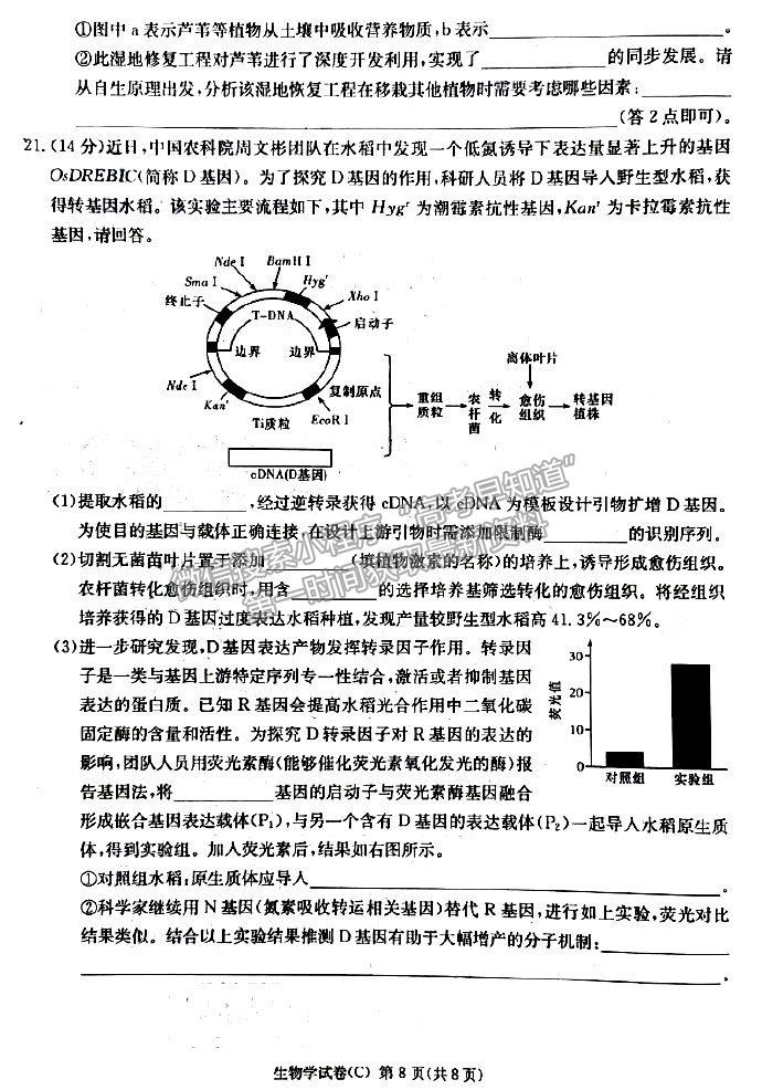 2023年湖南新高考教學(xué)教研聯(lián)盟（暨長(zhǎng)郡18校聯(lián)盟）高三第一次聯(lián)考生物試卷及答案