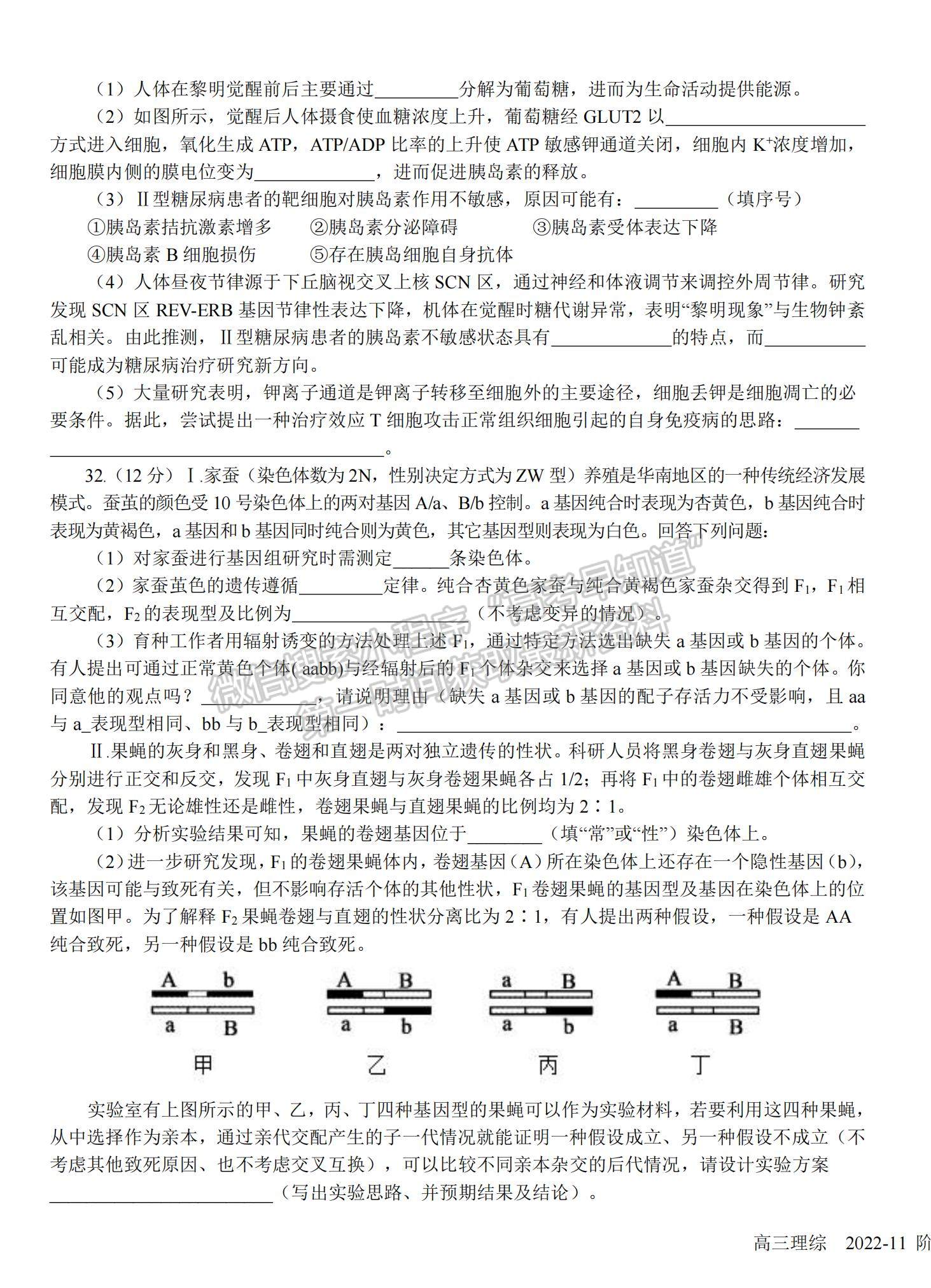 2023四川省樹德中學高三上學期11月階段性測試理綜試題及參考答案