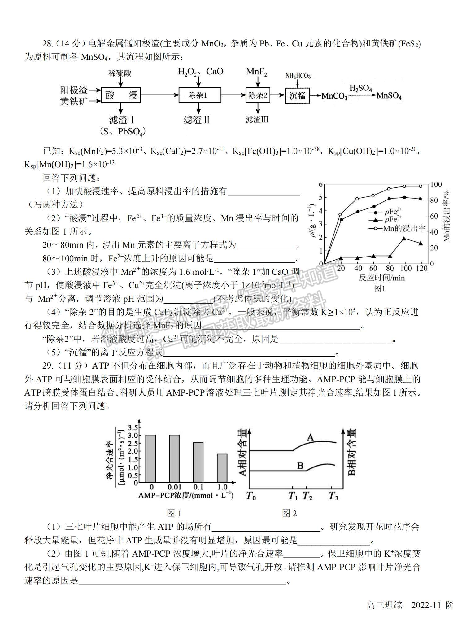 2023四川省樹德中學高三上學期11月階段性測試理綜試題及參考答案