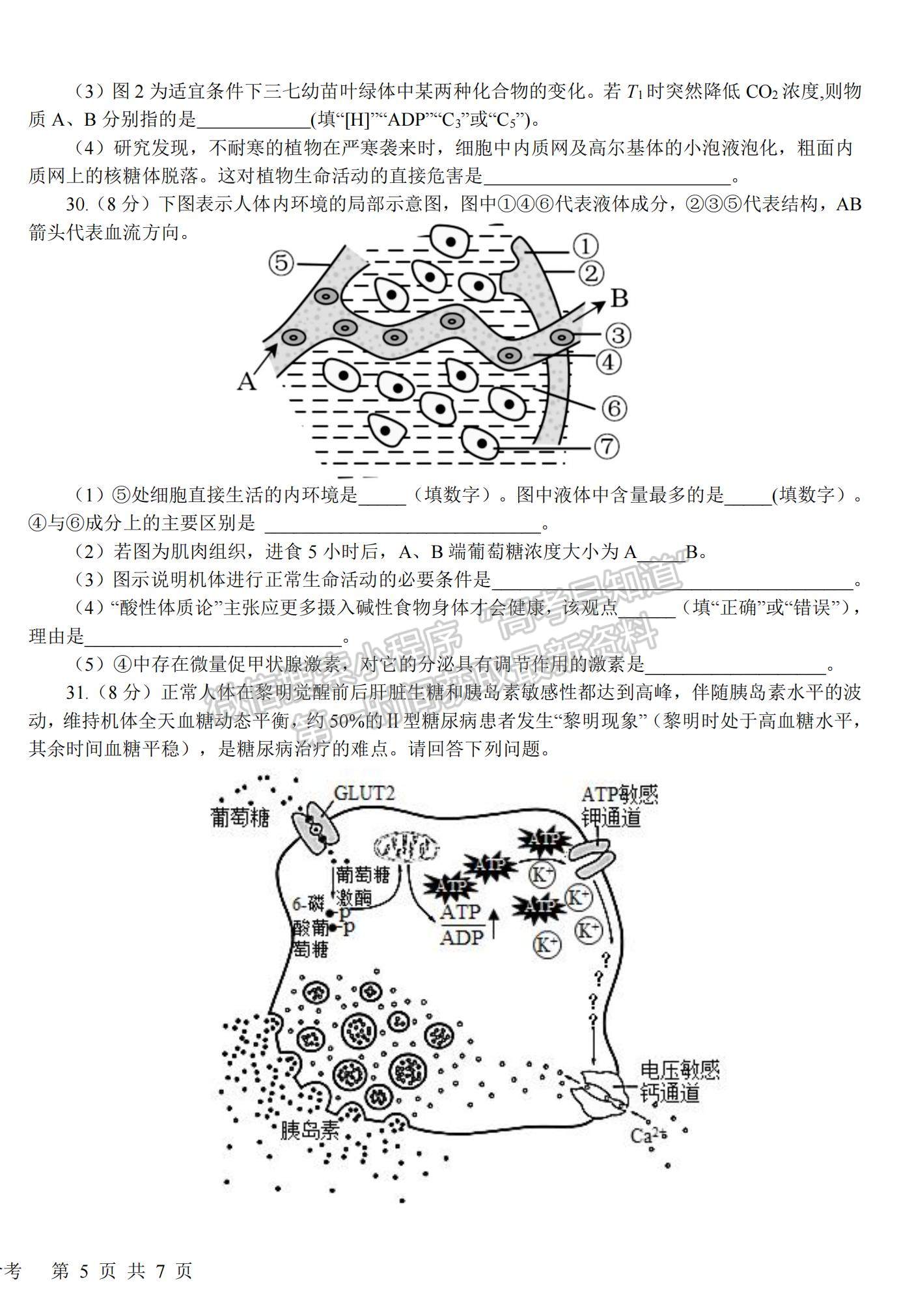 2023四川省樹德中學高三上學期11月階段性測試理綜試題及參考答案