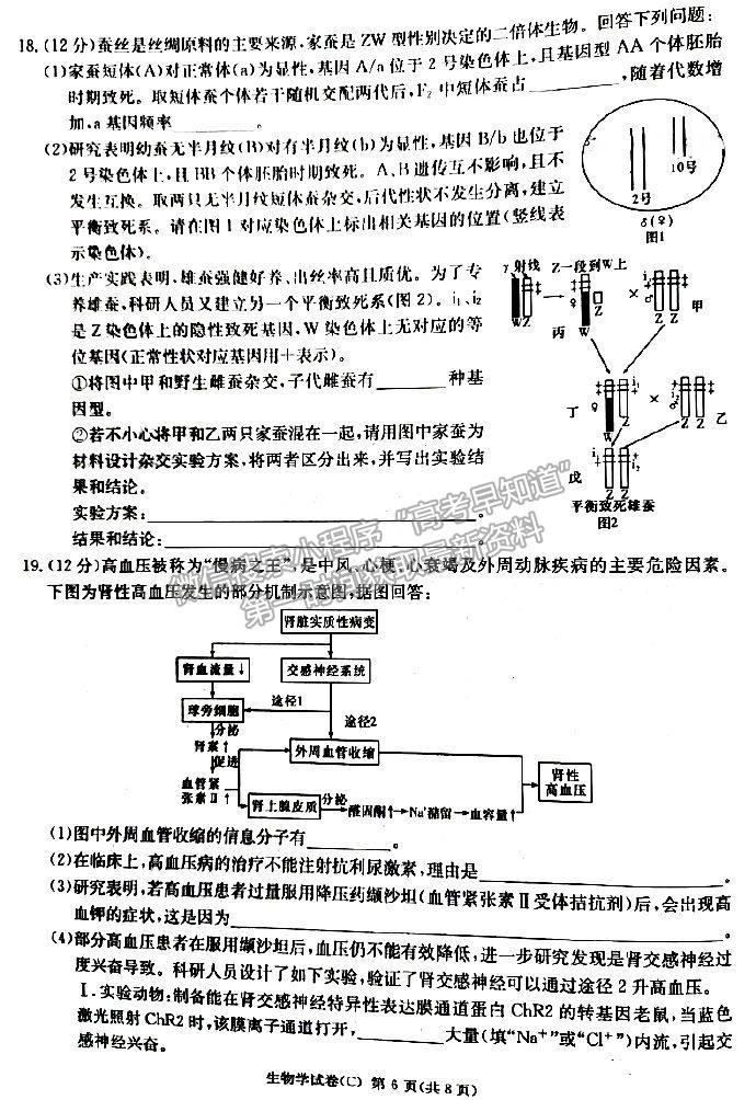 2023年湖南新高考教學(xué)教研聯(lián)盟（暨長郡18校聯(lián)盟）高三第一次聯(lián)考生物試卷及答案