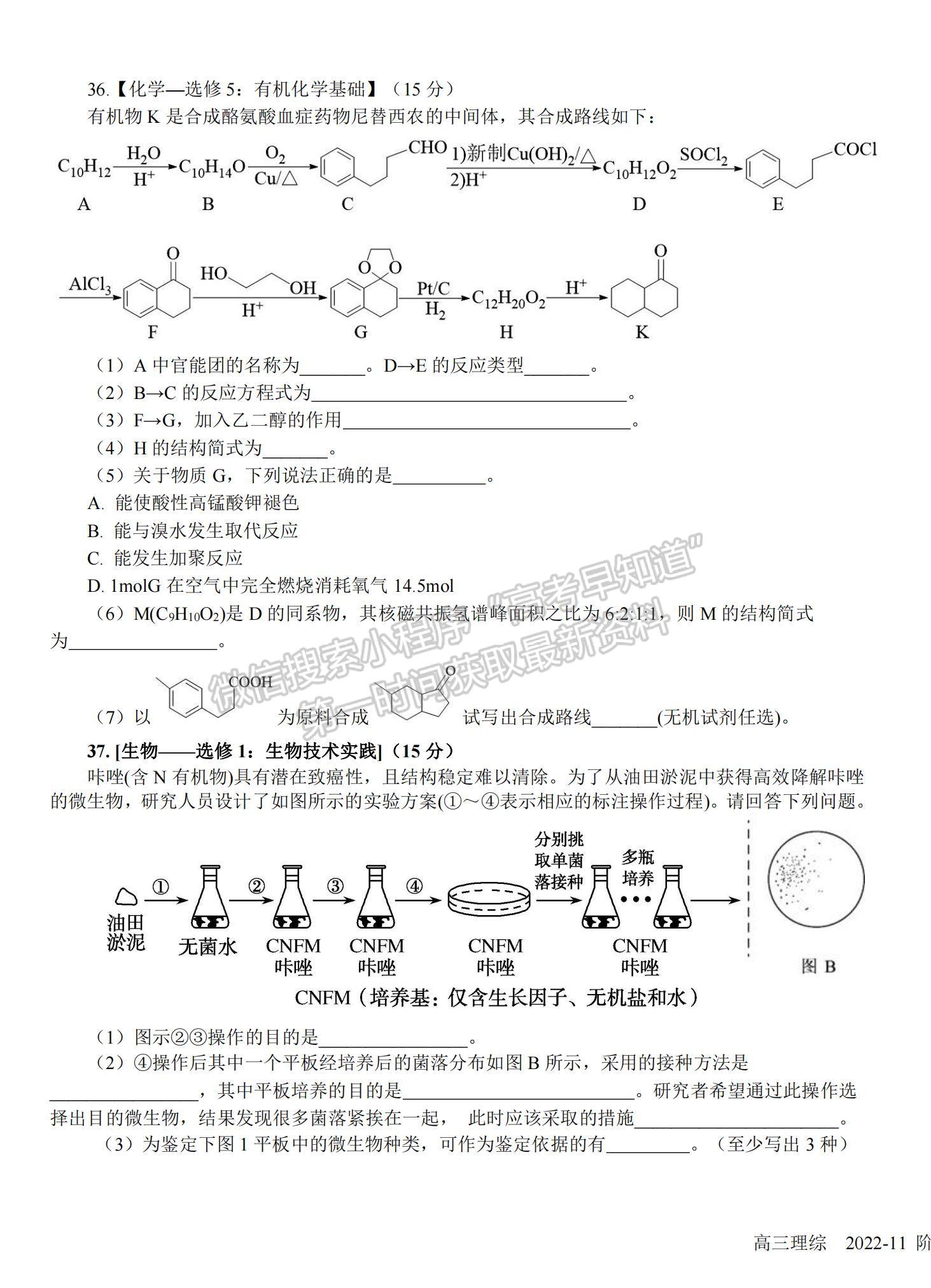 2023四川省樹德中學高三上學期11月階段性測試理綜試題及參考答案