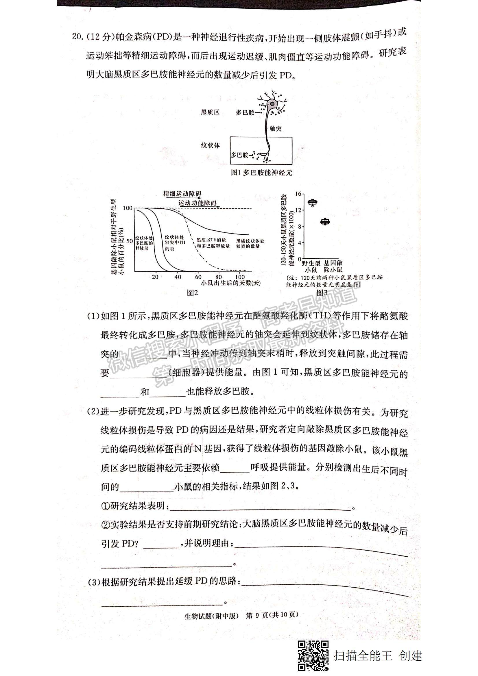 2023湖南師大附中高三上學(xué)期月考卷（四）生物試題及參考答案