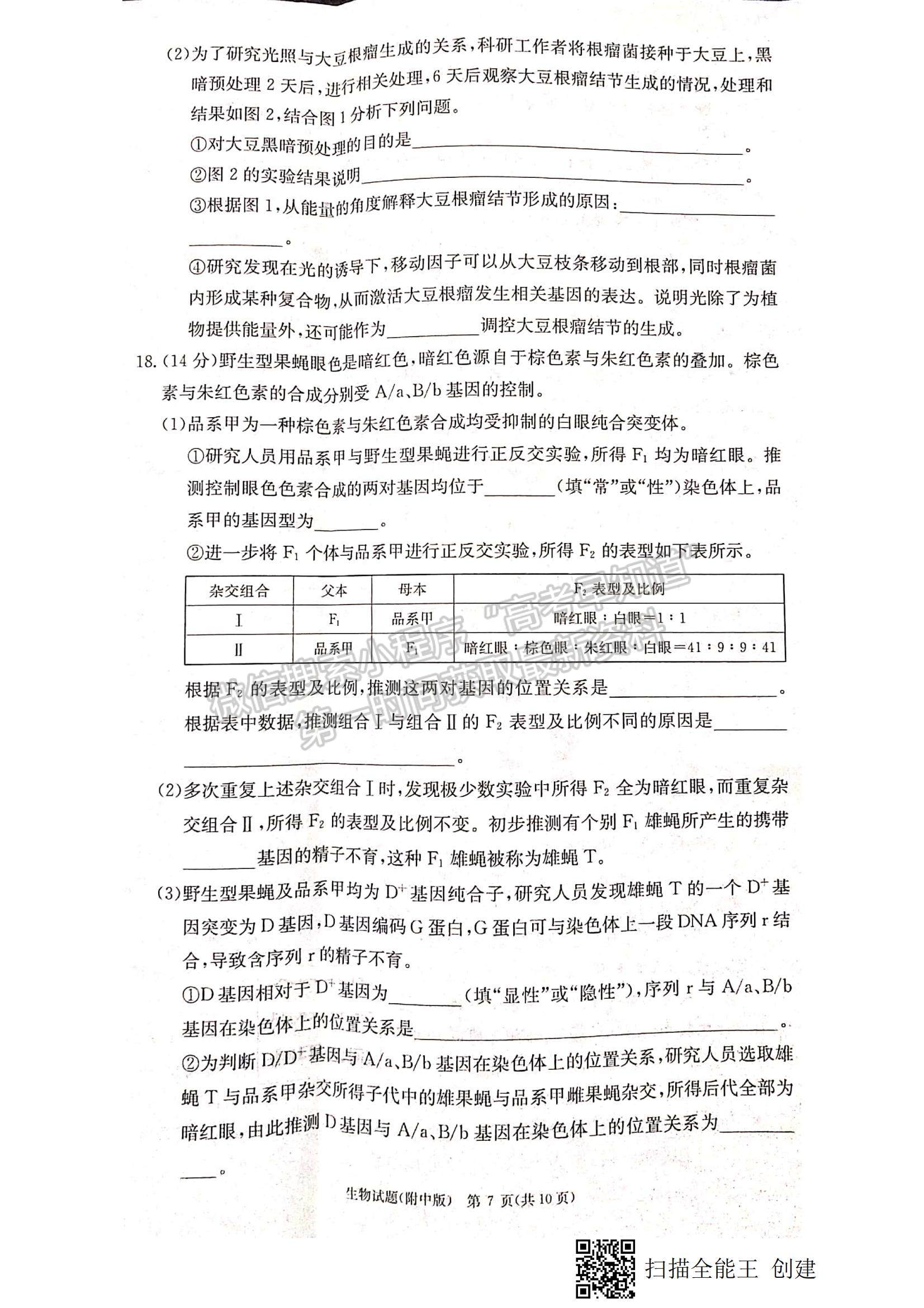 2023湖南師大附中高三上學(xué)期月考卷（四）生物試題及參考答案