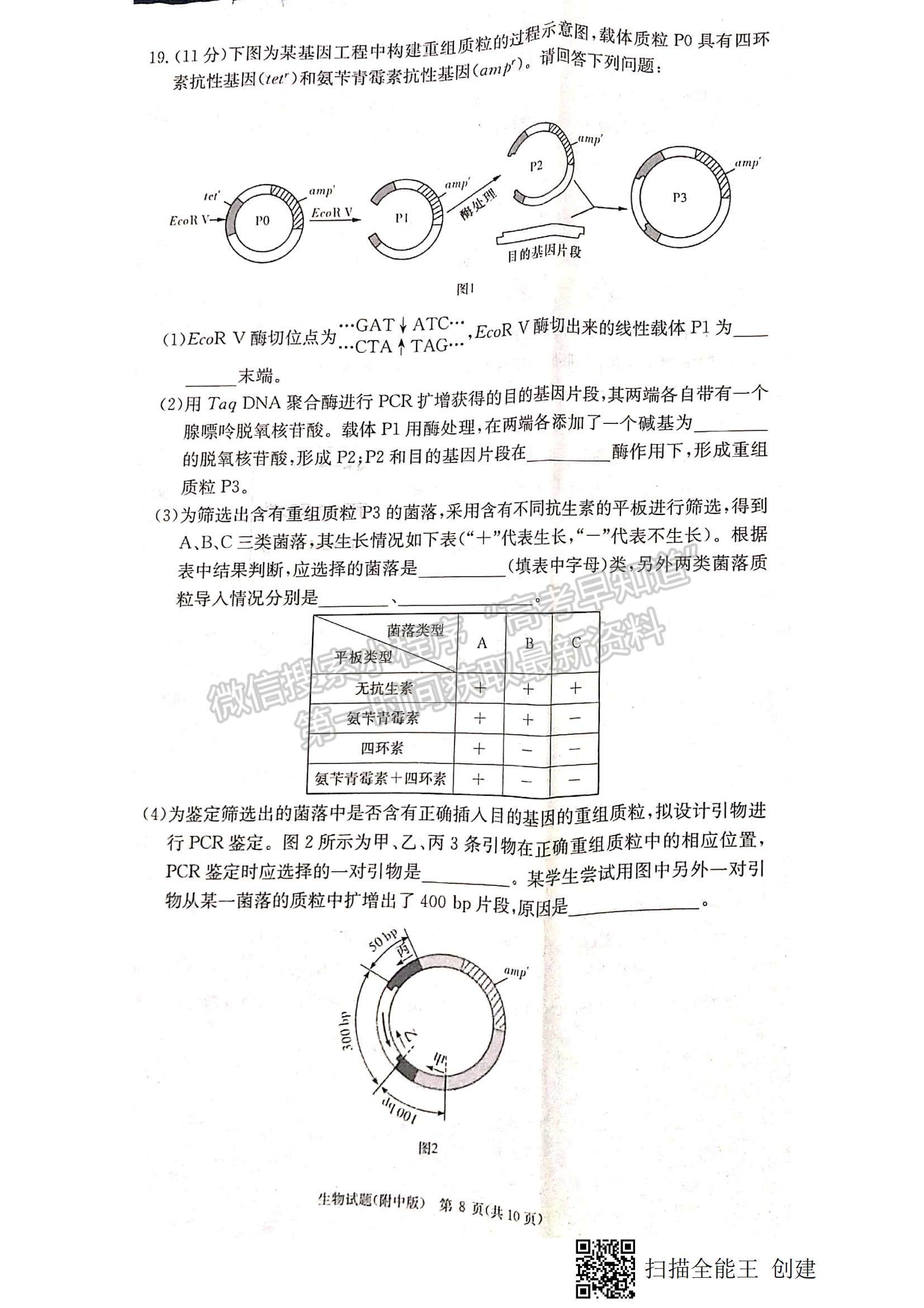 2023湖南師大附中高三上學(xué)期月考卷（四）生物試題及參考答案