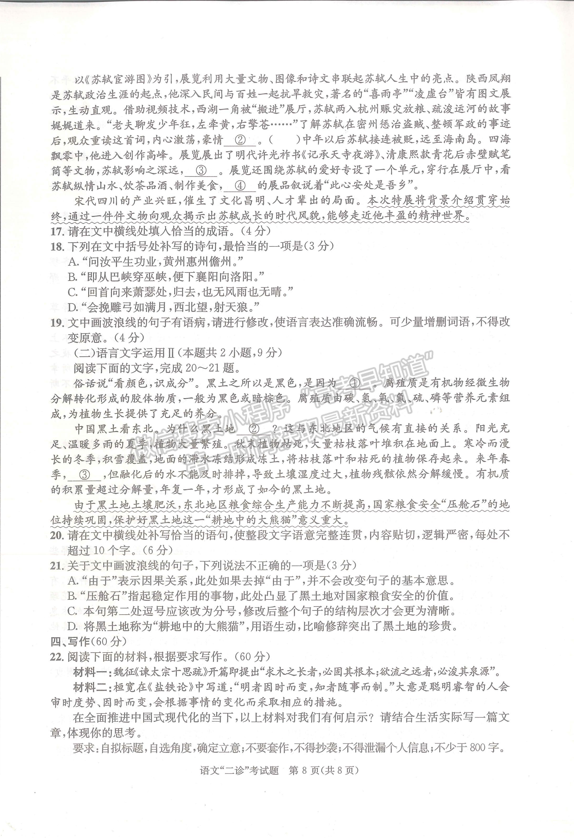 2023四川成都市2020級(jí)高中畢業(yè)班第二次診斷性檢測(cè)語(yǔ)文試題及答案