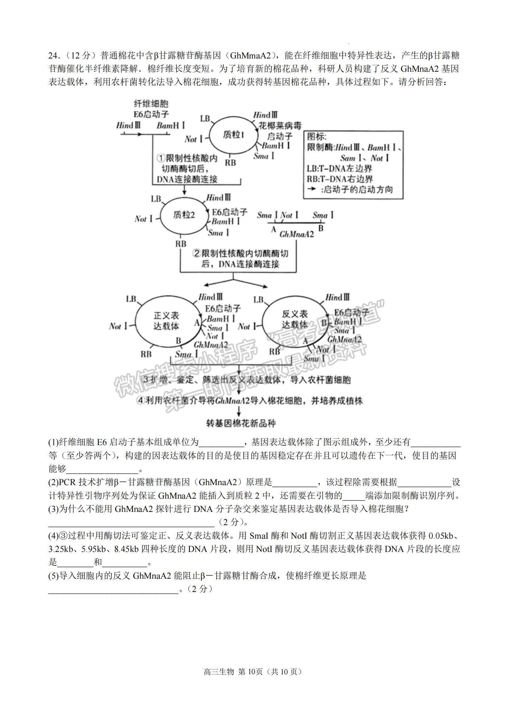 2023江蘇省揚州中學高三上學期11月雙周練（月考）生物試題及參考答案