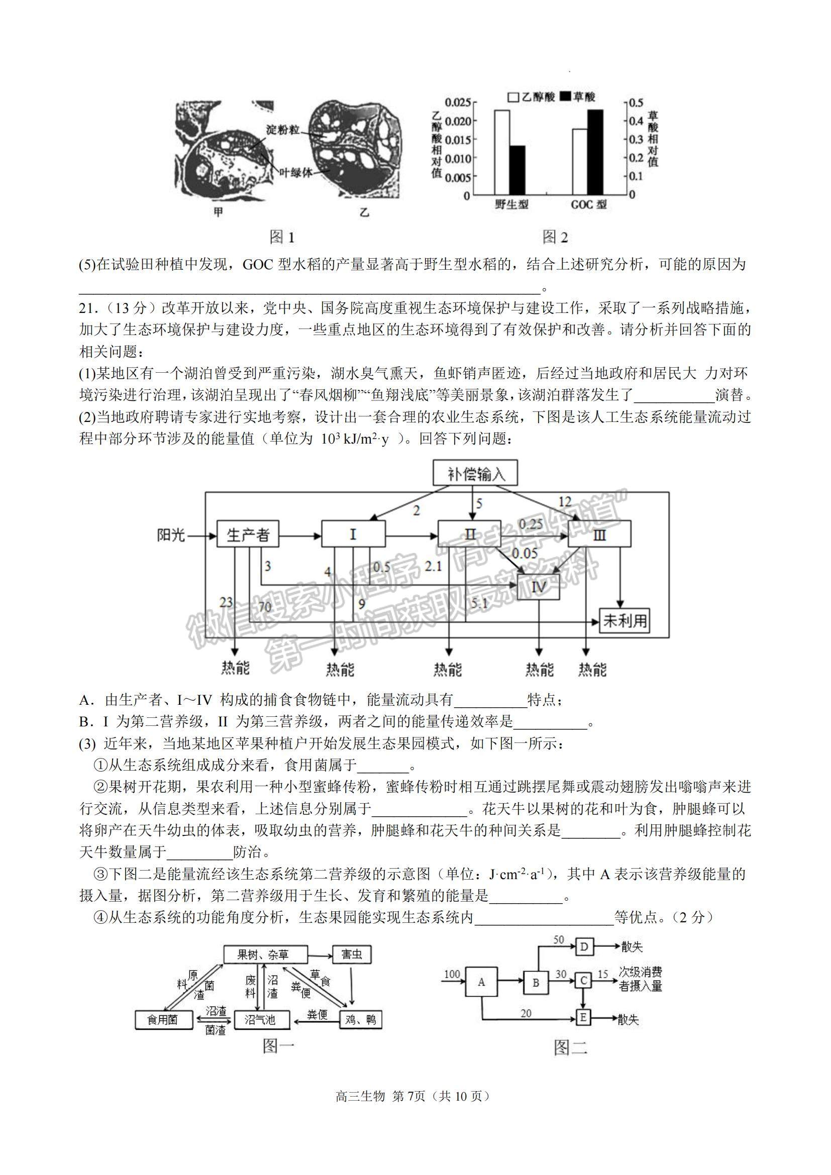 2023江蘇省揚(yáng)州中學(xué)高三上學(xué)期11月雙周練（月考）生物試題及參考答案