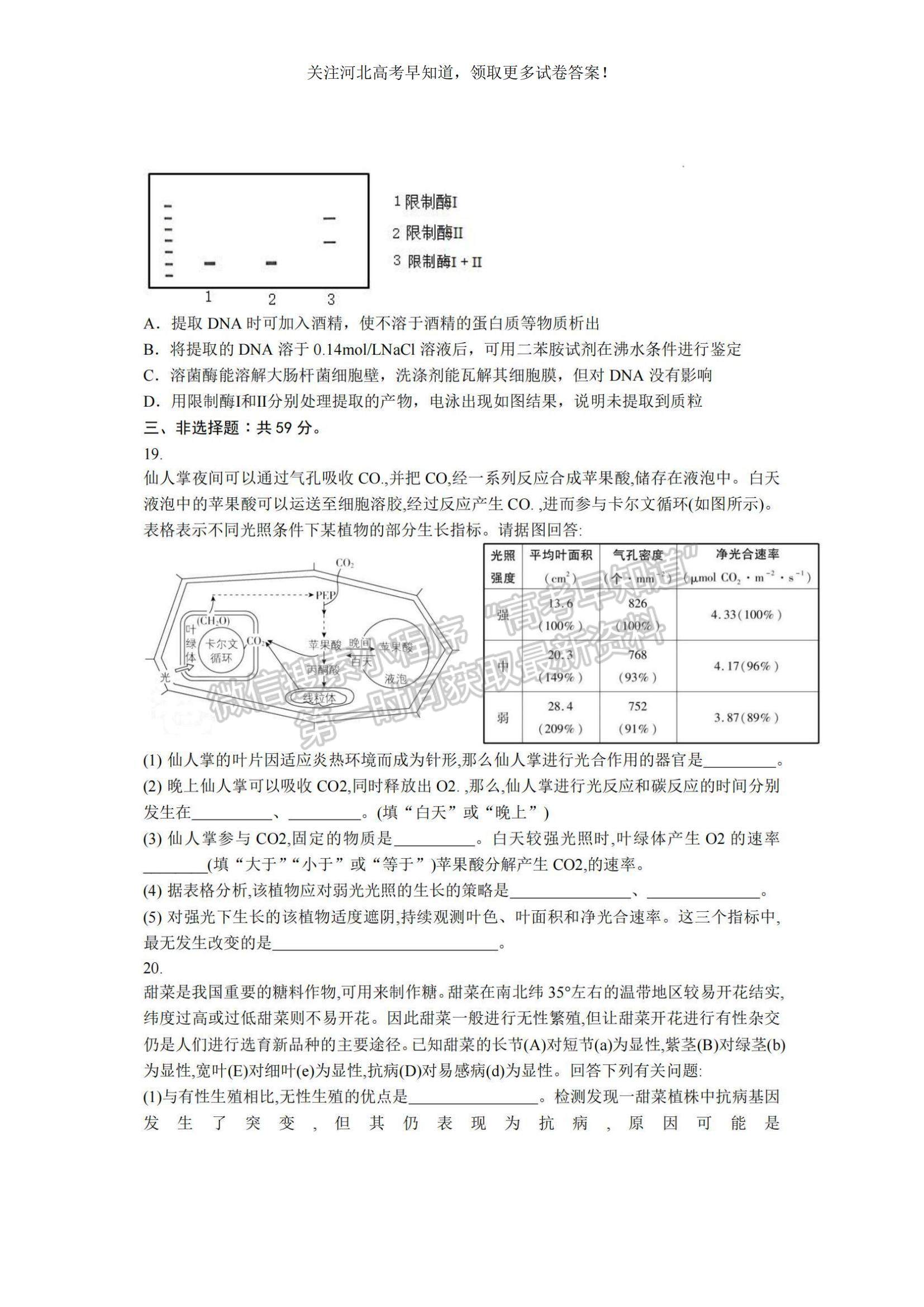 2023河北省冀東名校高三上學(xué)期11月期中考試生物試題及參考答案