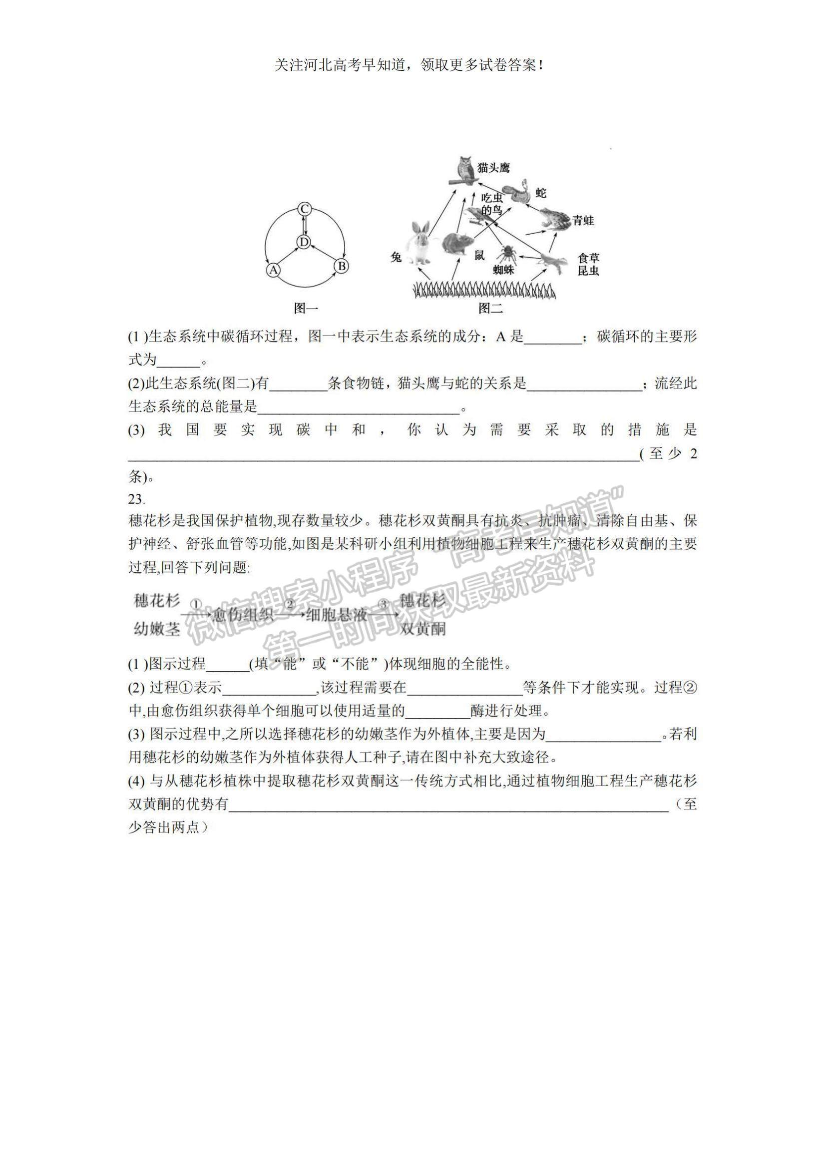 2023河北省冀東名校高三上學期11月期中考試生物試題及參考答案