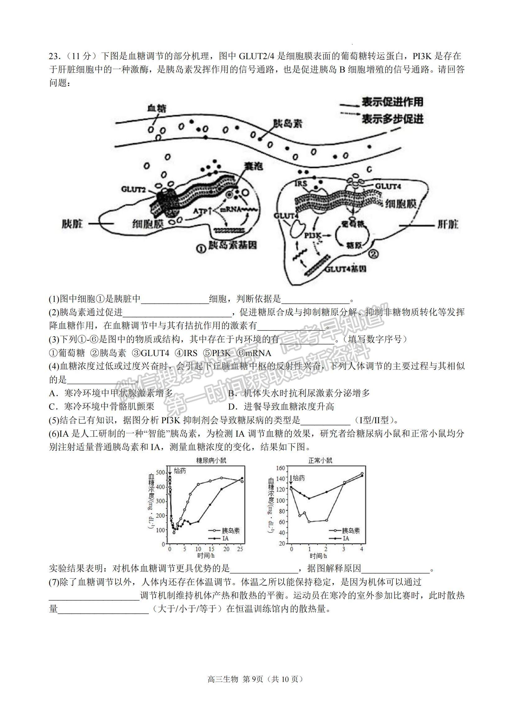 2023江蘇省揚(yáng)州中學(xué)高三上學(xué)期11月雙周練（月考）生物試題及參考答案