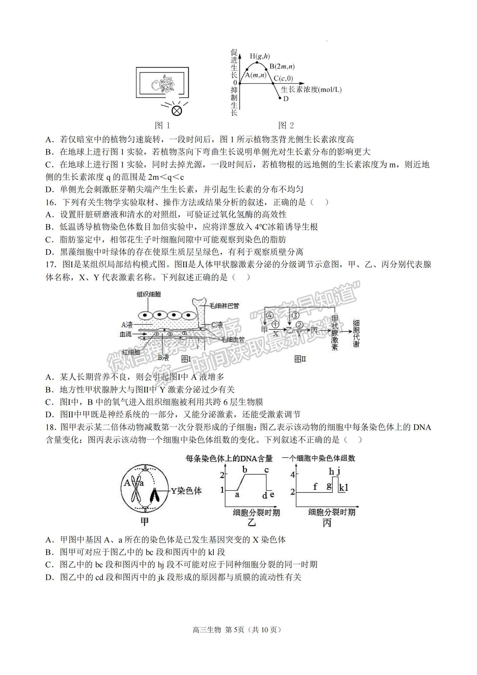 2023江蘇省揚(yáng)州中學(xué)高三上學(xué)期11月雙周練（月考）生物試題及參考答案