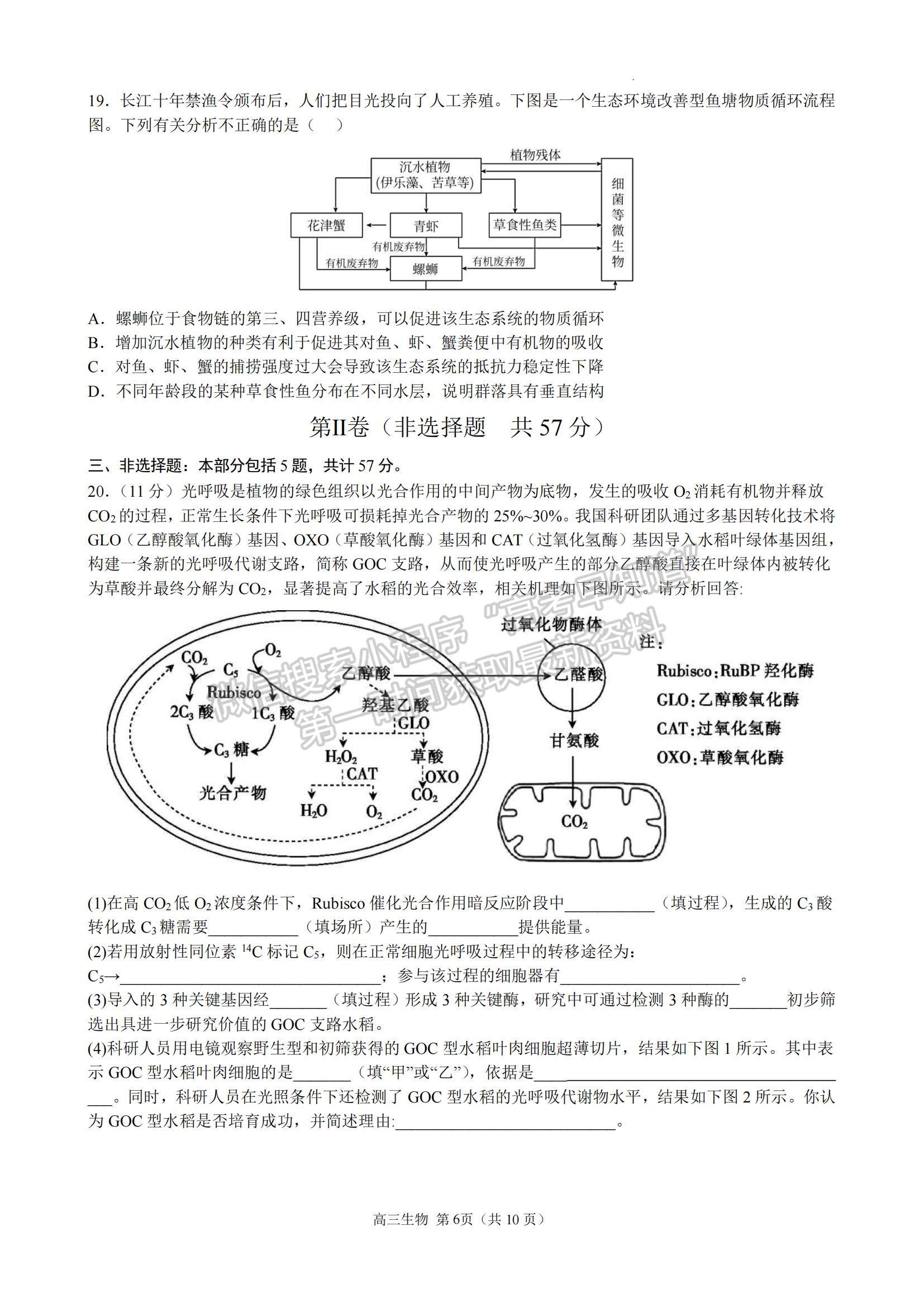 2023江蘇省揚(yáng)州中學(xué)高三上學(xué)期11月雙周練（月考）生物試題及參考答案