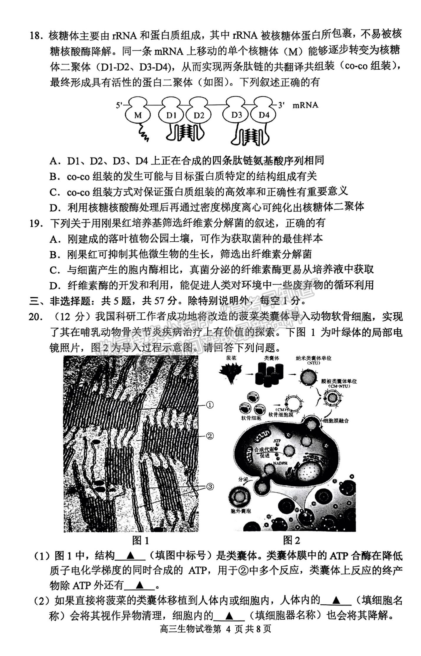 2023屆江蘇省蘇錫常鎮(zhèn)高三一模生物試題及參考答案