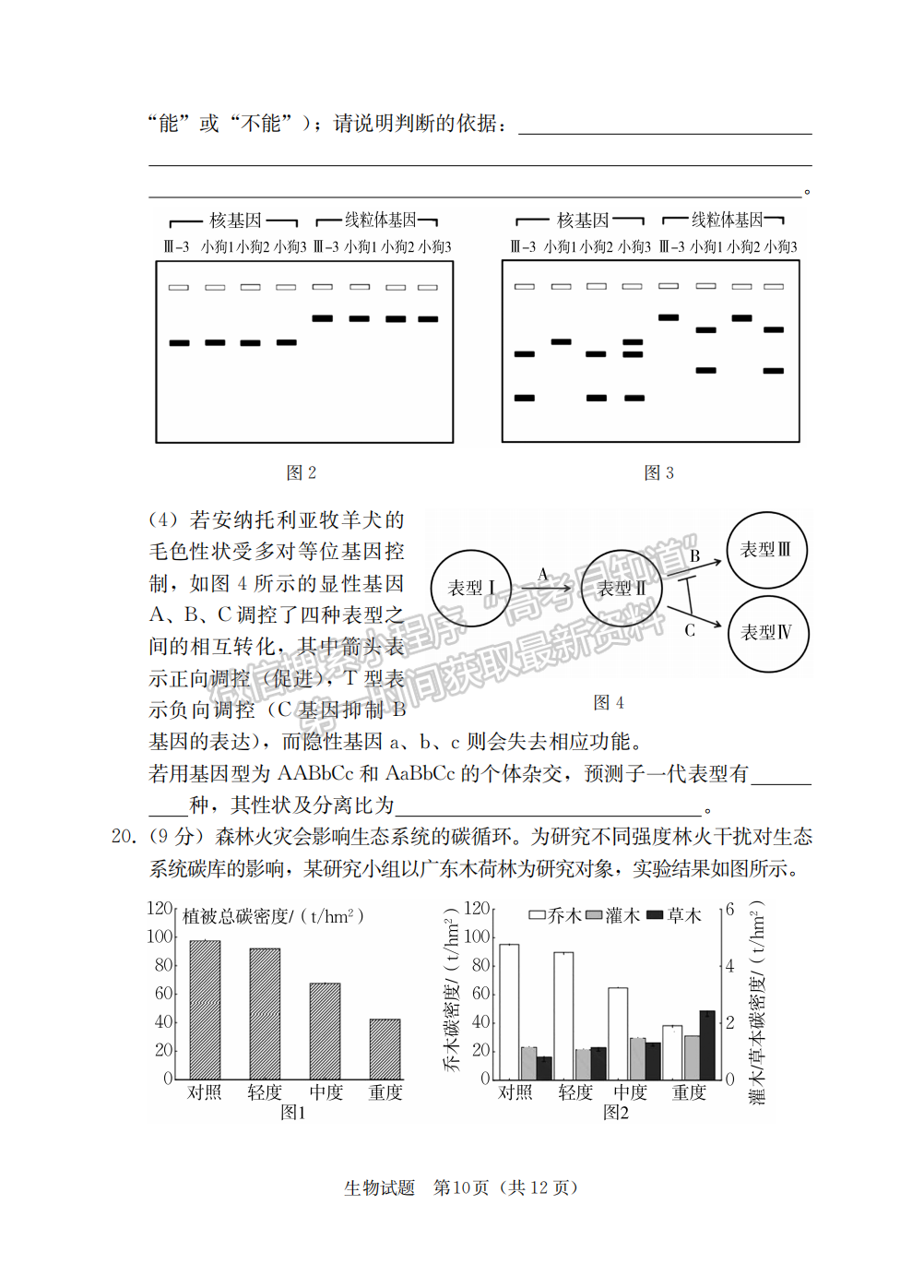 2023屆湖南省“湘考王”高三生物試題及參考答案