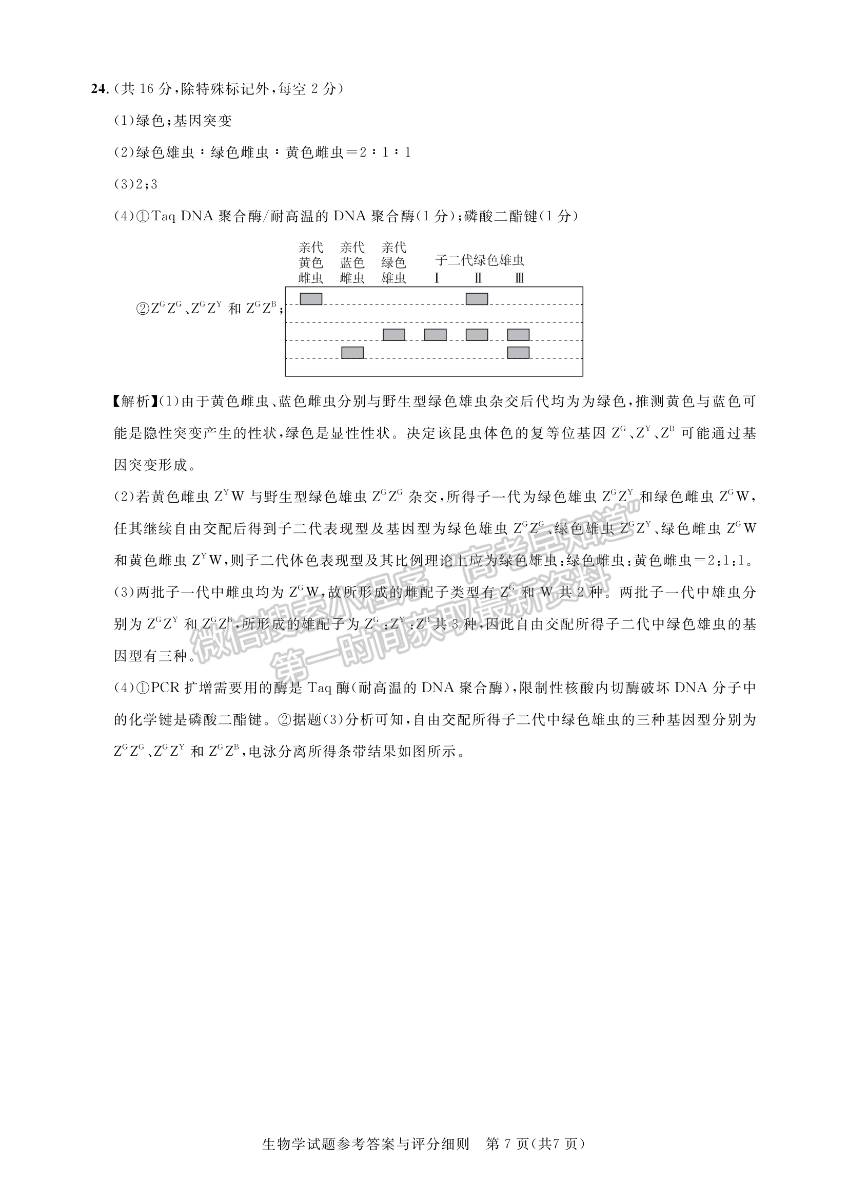 2023湖北名校聯(lián)盟(圓創(chuàng))高三3月聯(lián)合測評生物試卷及參考答案