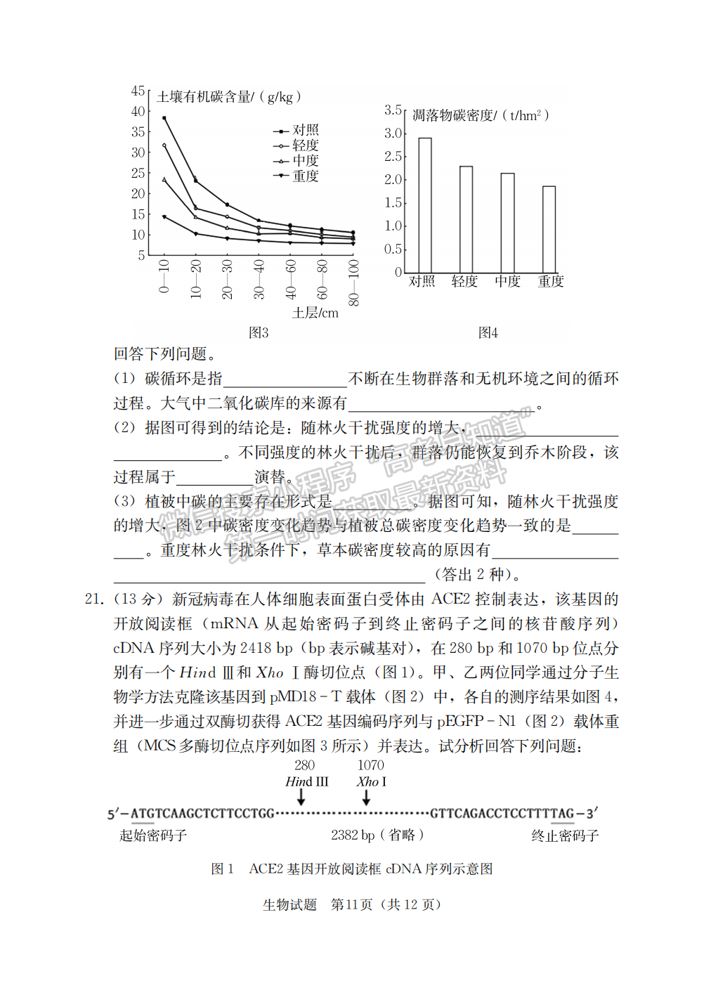 2023屆湖南省“湘考王”高三生物試題及參考答案