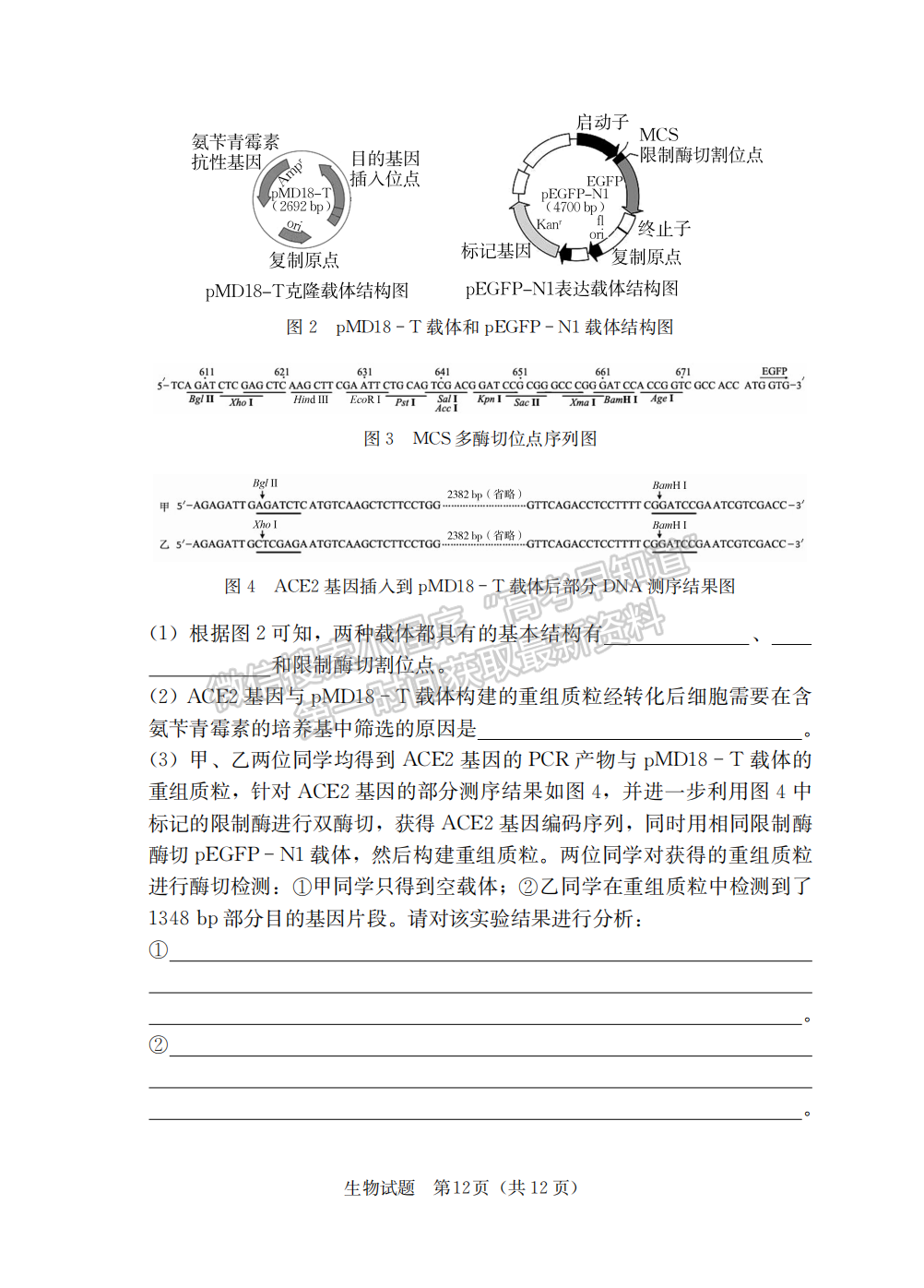 2023屆湖南省“湘考王”高三生物試題及參考答案