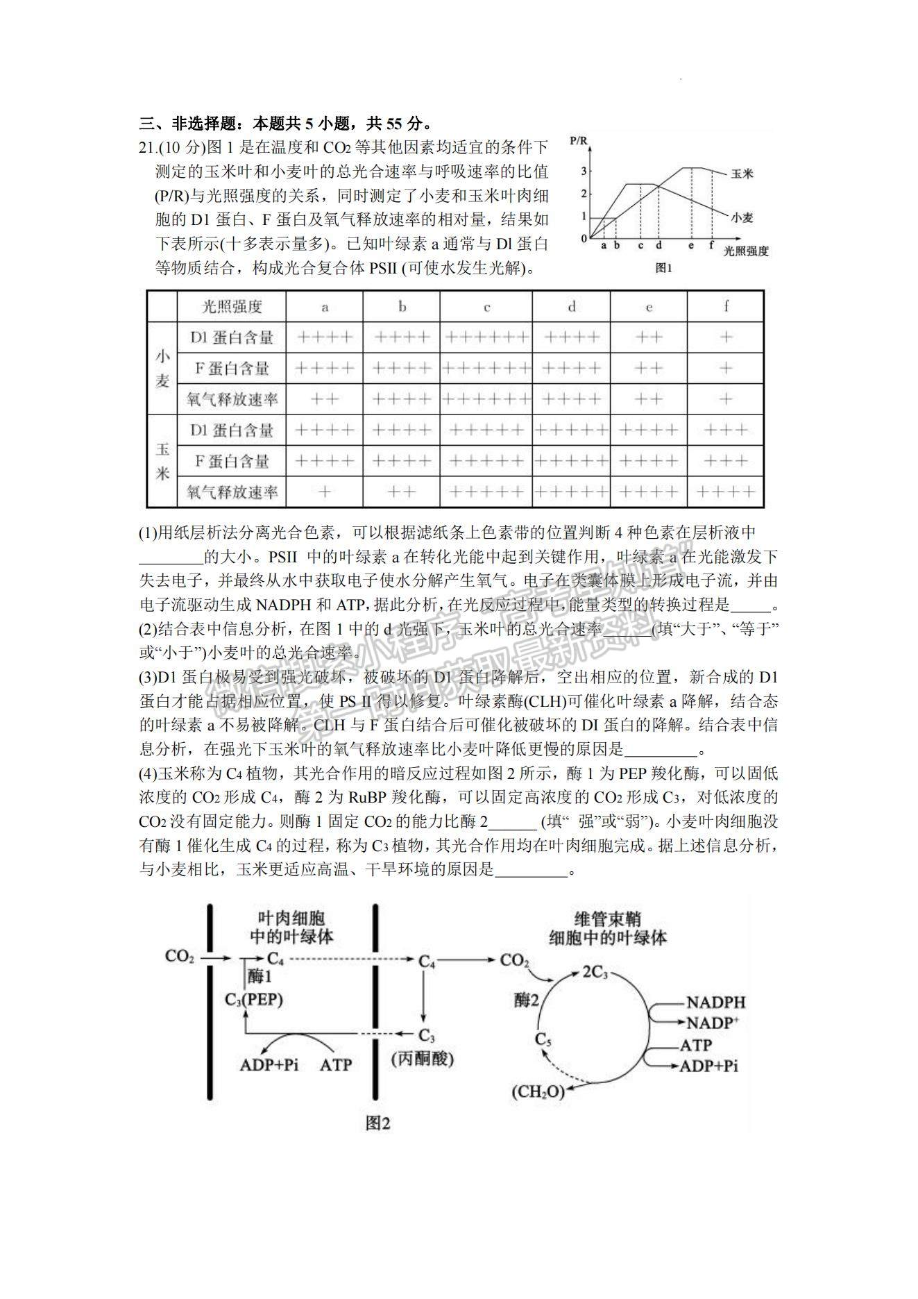 2023山東棗莊高三二模試卷及答案匯總-生物試卷及答案