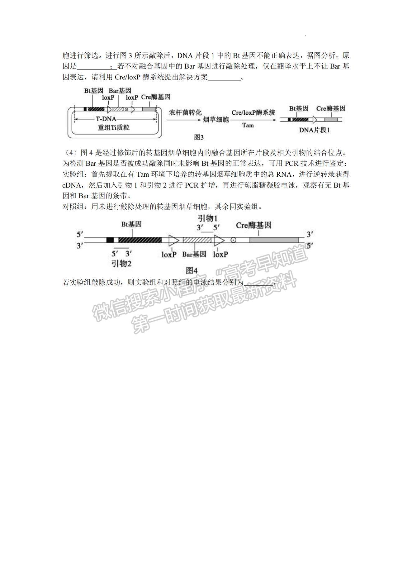 2023山東棗莊高三二模試卷及答案匯總-生物試卷及答案