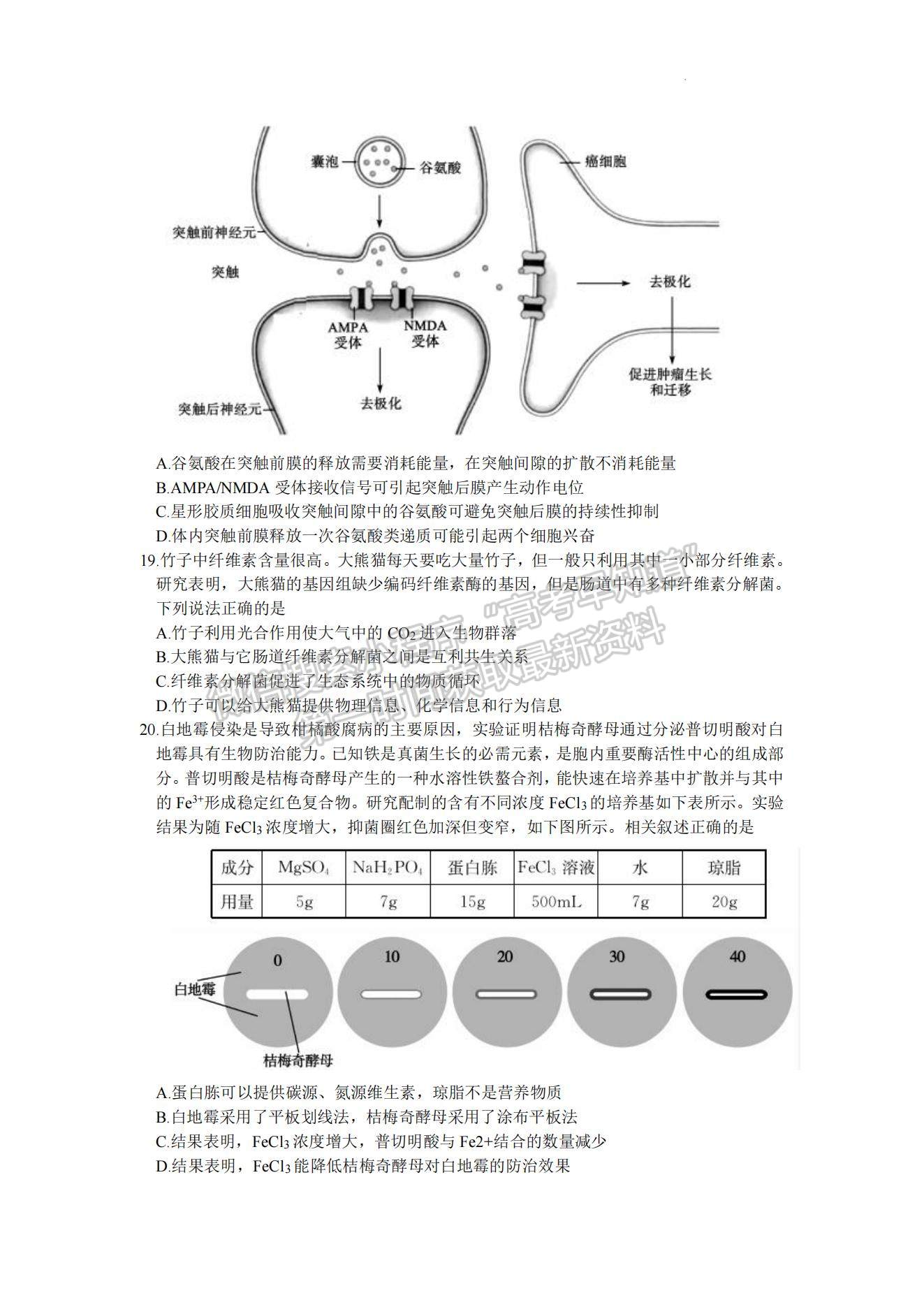 2023山東棗莊高三二模試卷及答案匯總-生物試卷及答案